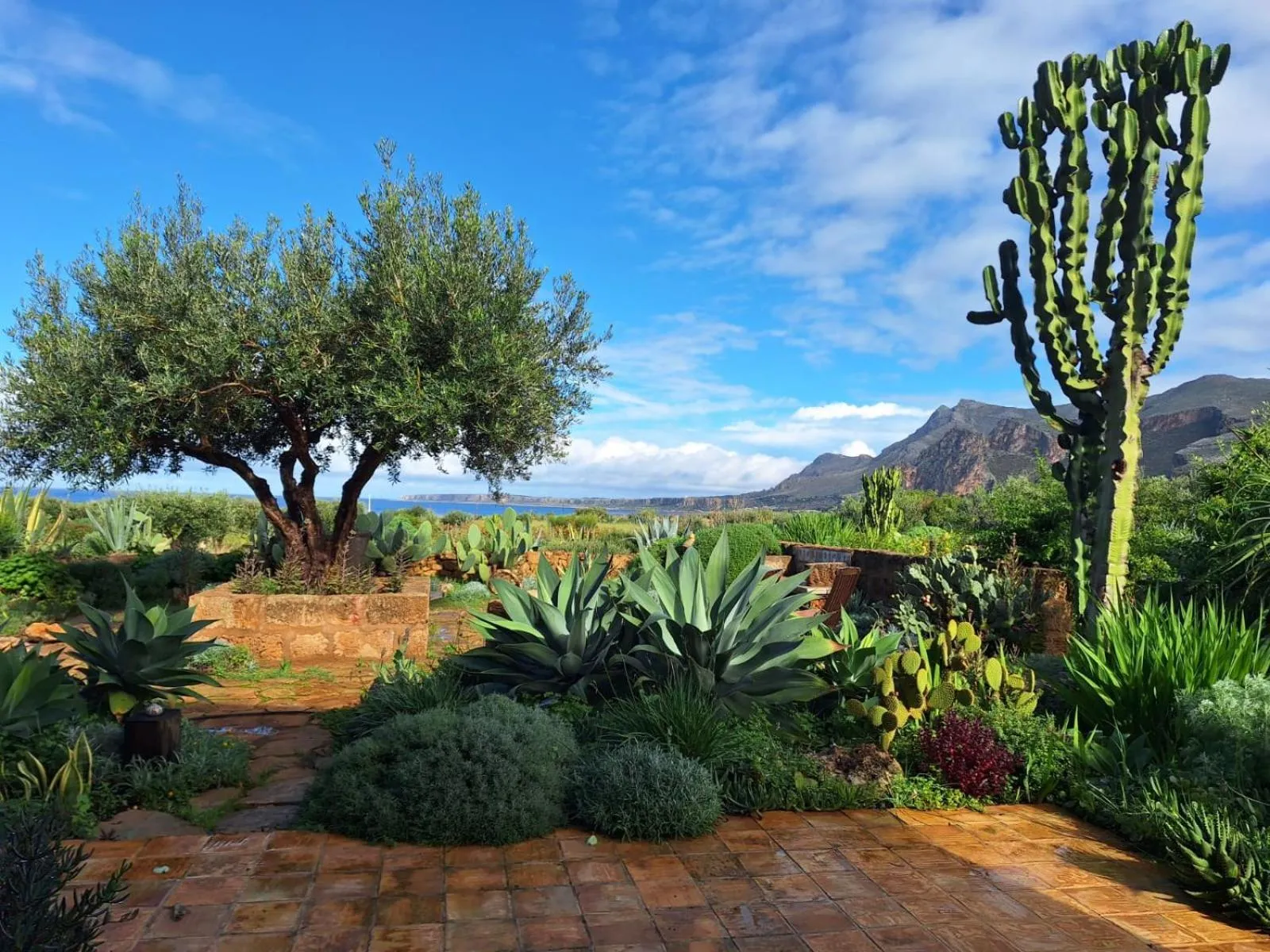 Sea view in Baglio Giammaccaro