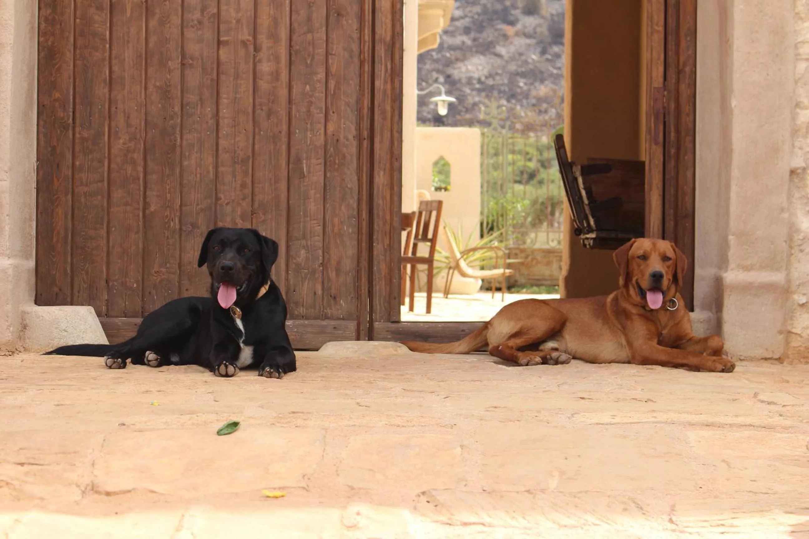 Property building in Baglio Giammaccaro