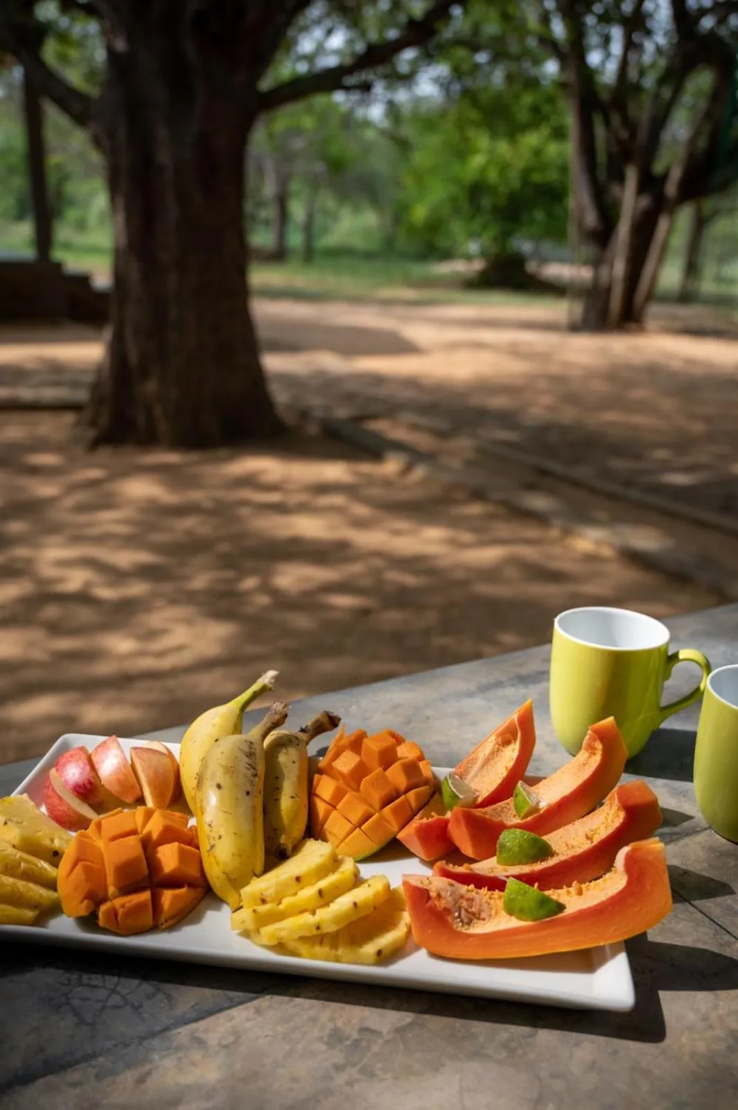 Food and drinks in Hide Yala