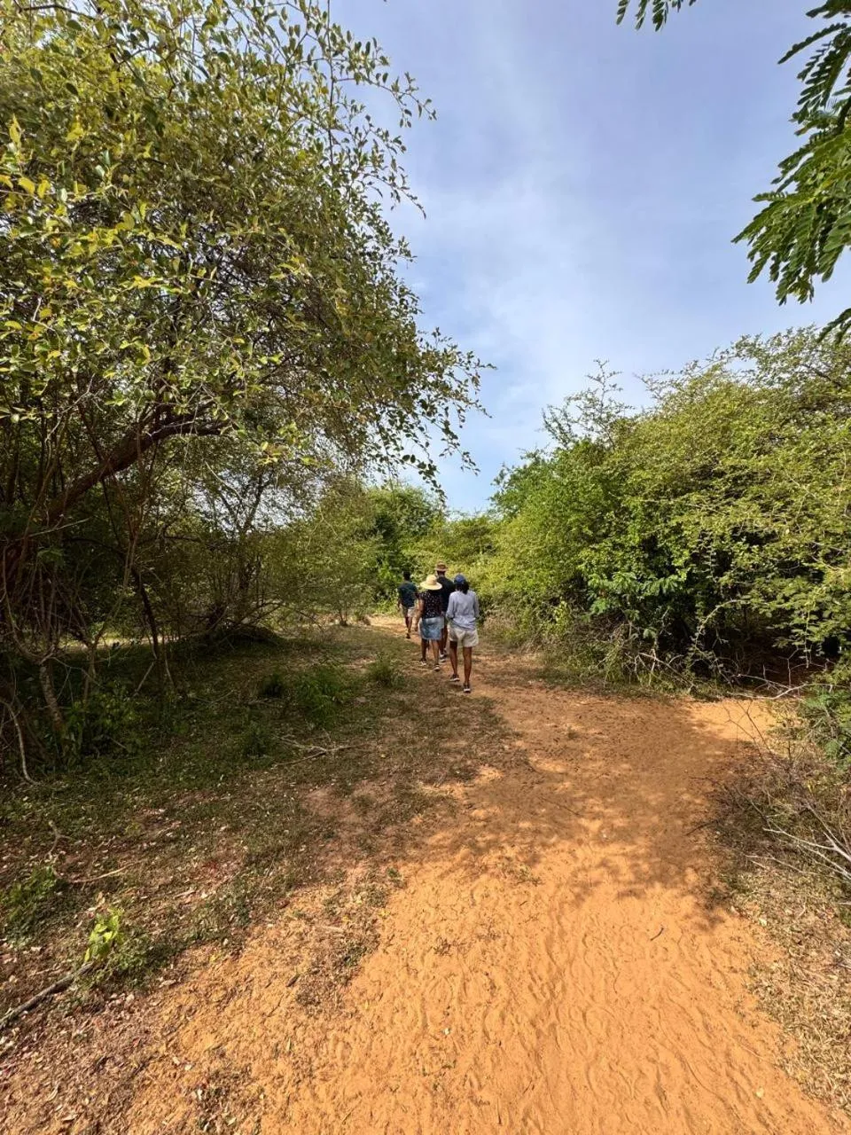 Activities in Hide Yala