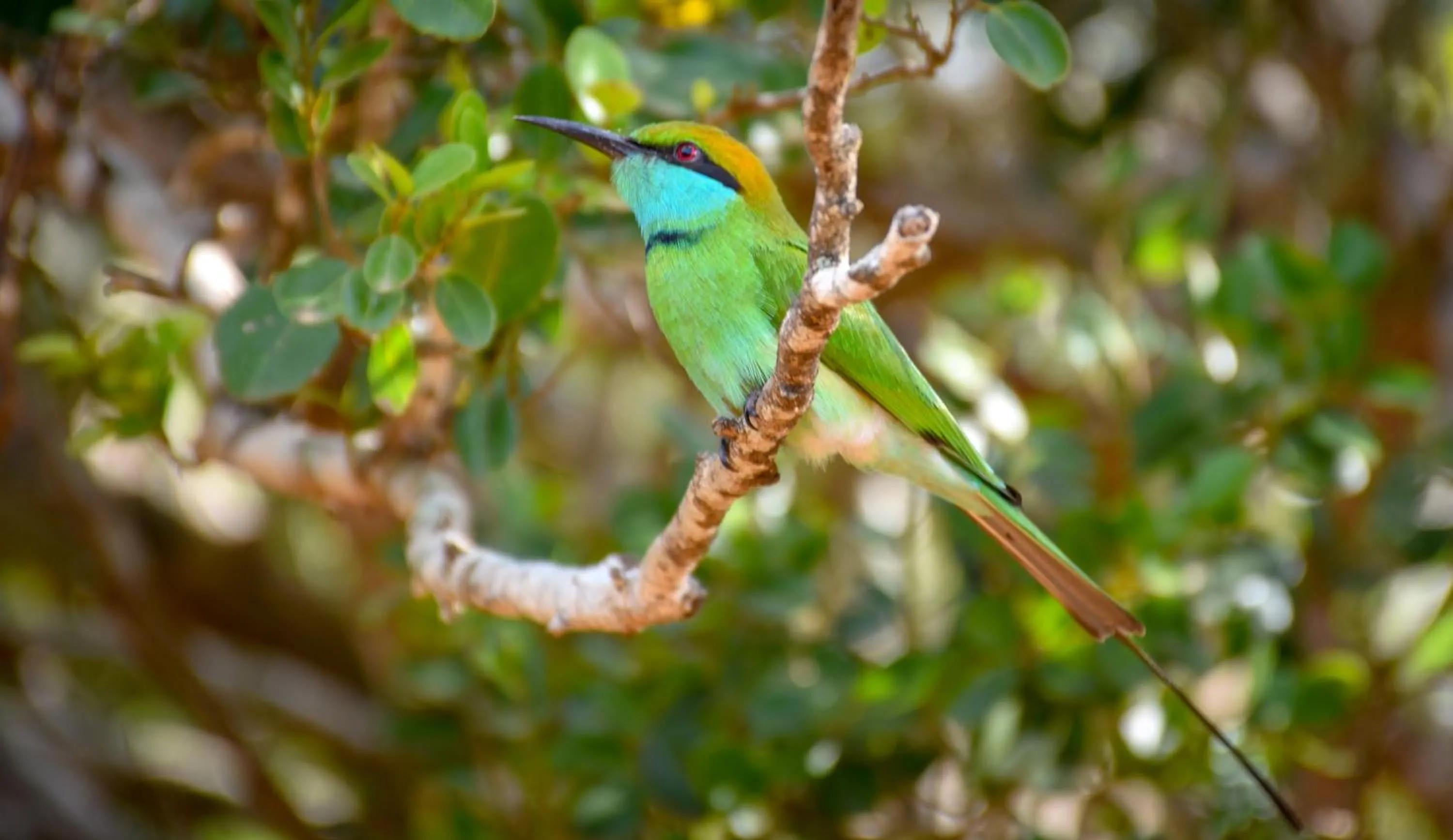 Neighbourhood in Hide Yala