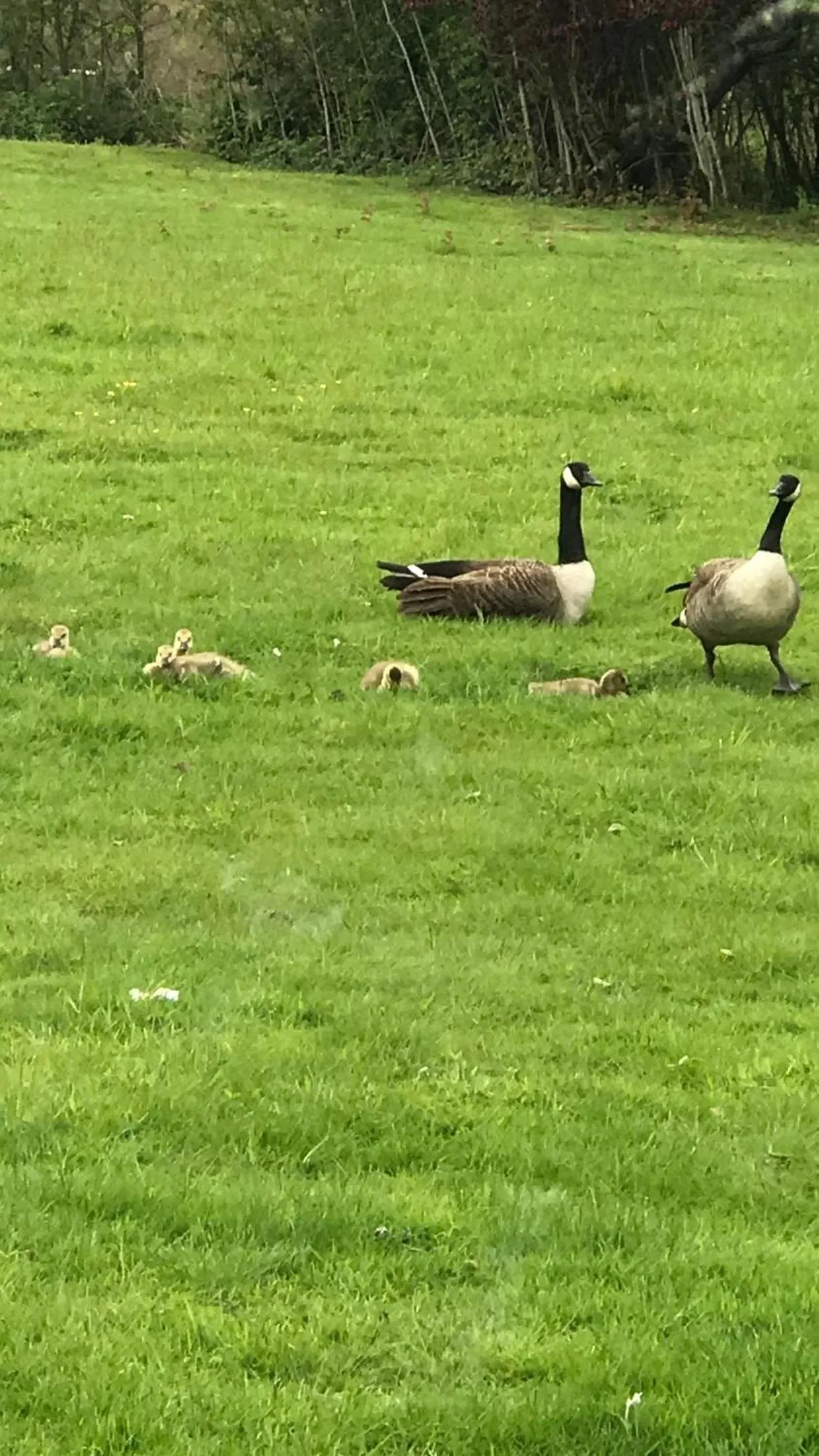 Property building in West Lodge B&B