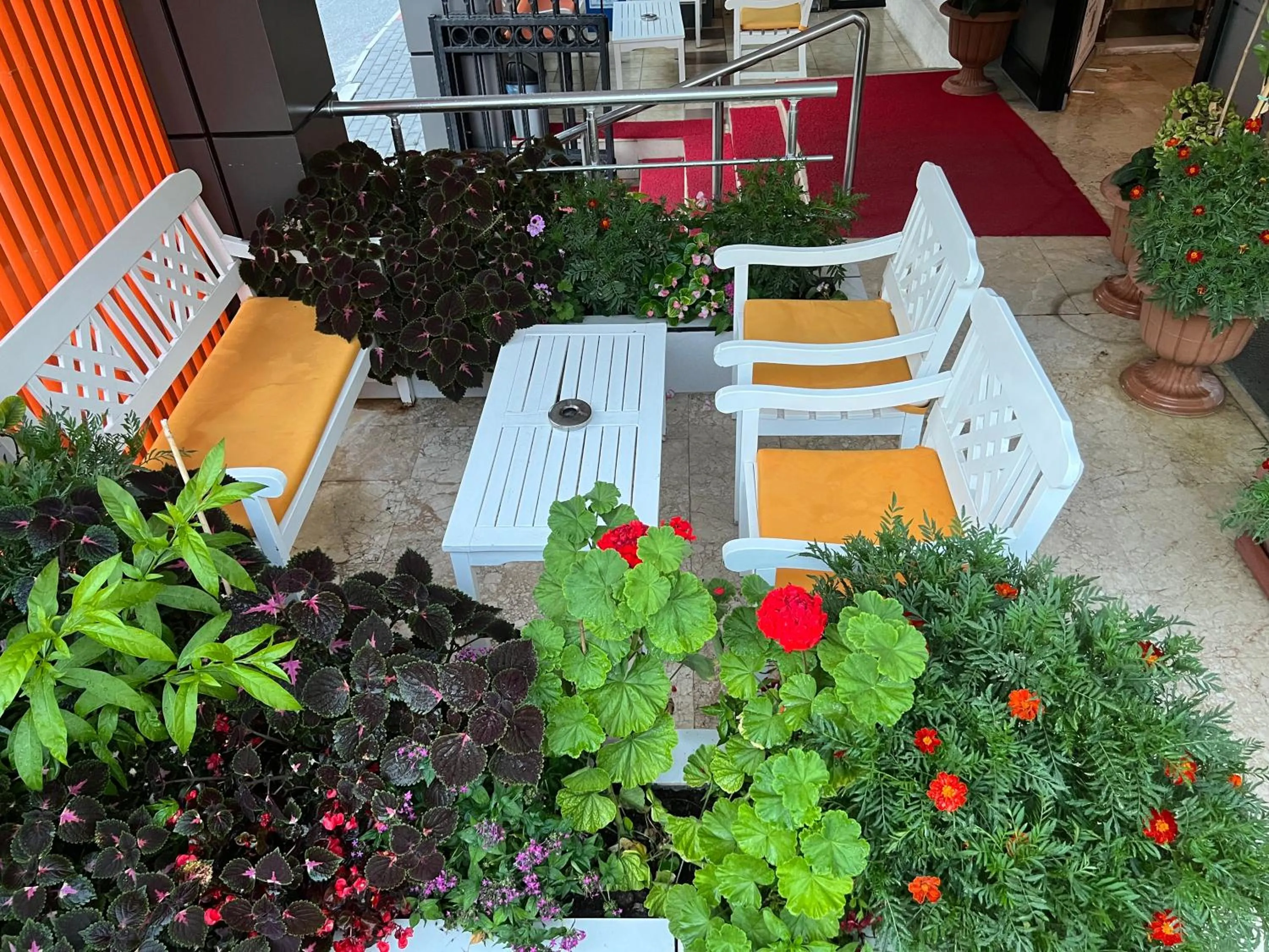 Garden in Cleopatra King Apart