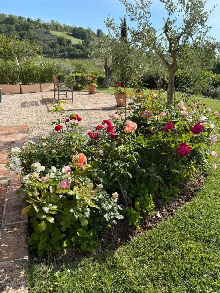 Garden in Casa delle Sorgenti