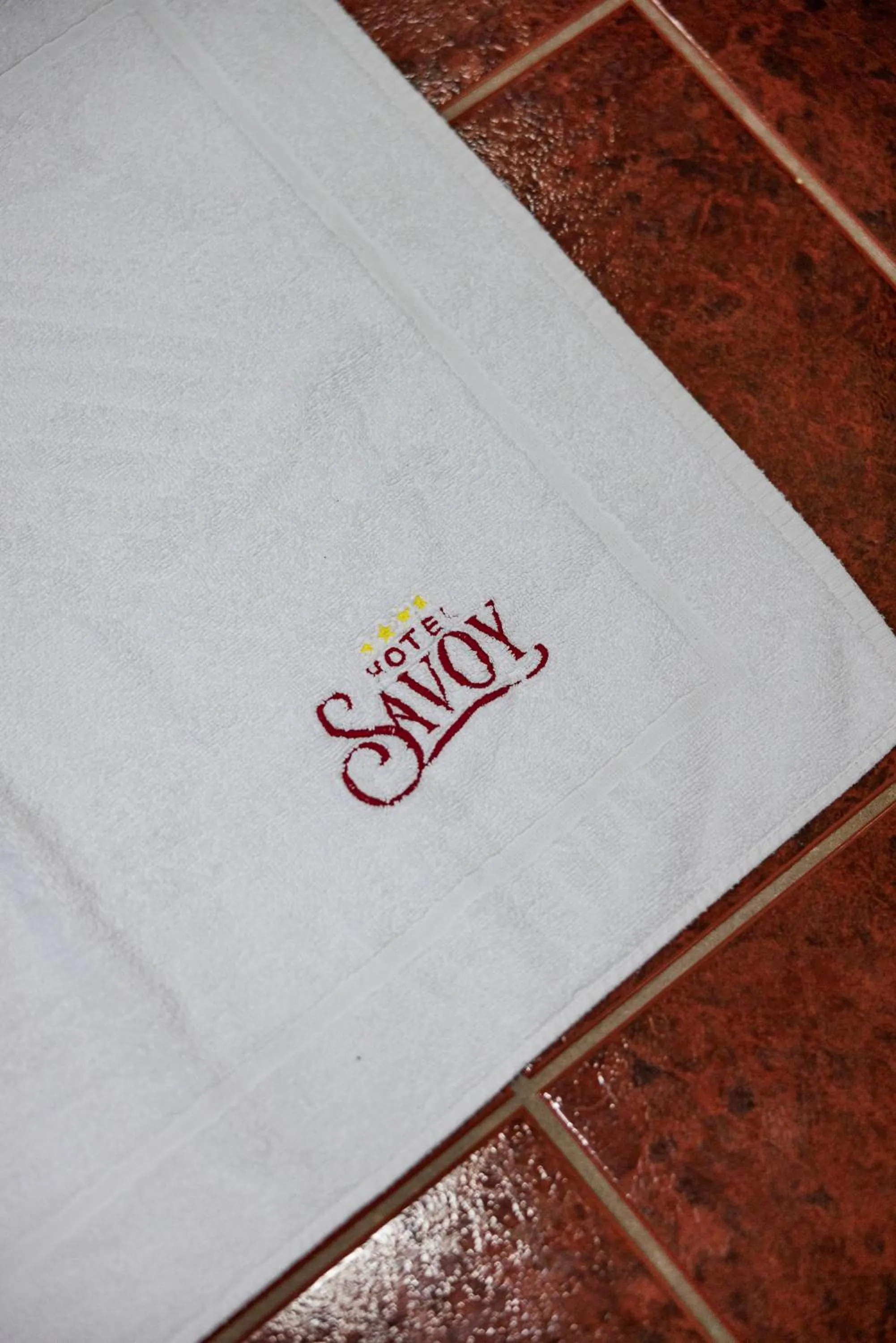 Property logo or sign in Hotel Savoy