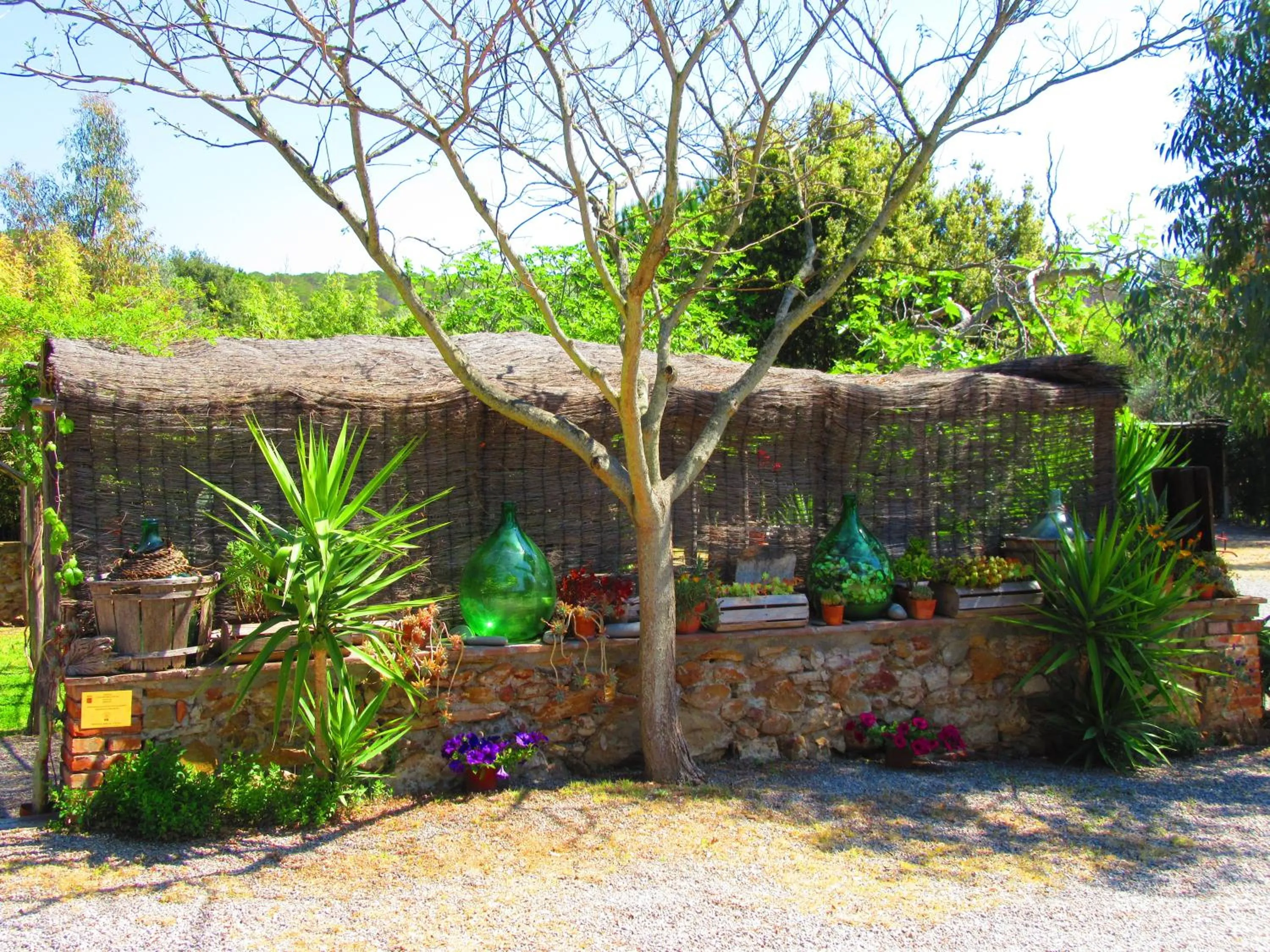 Garden in Agriturismo Serignano alle Rocchette