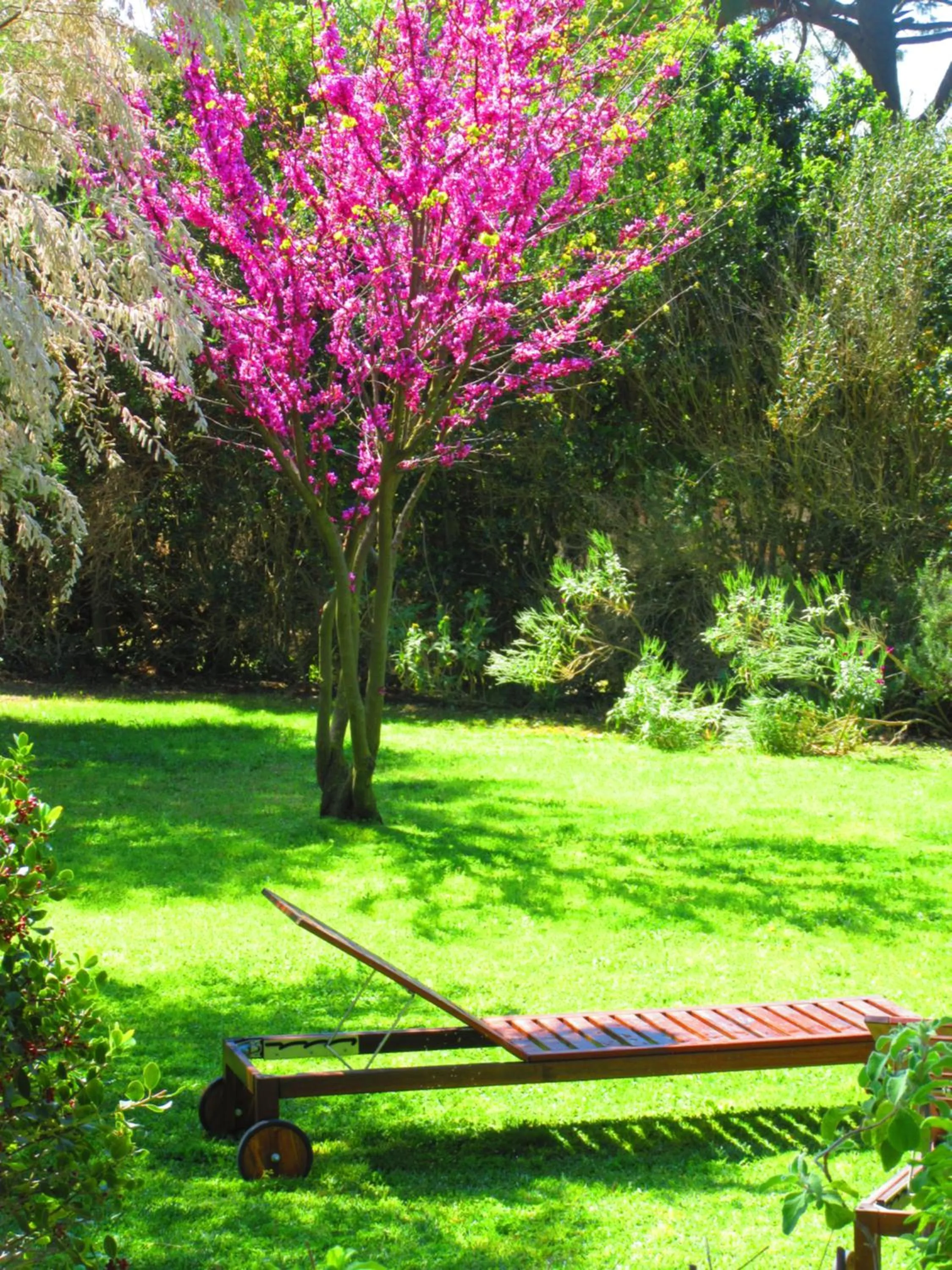 Garden in Agriturismo Serignano alle Rocchette