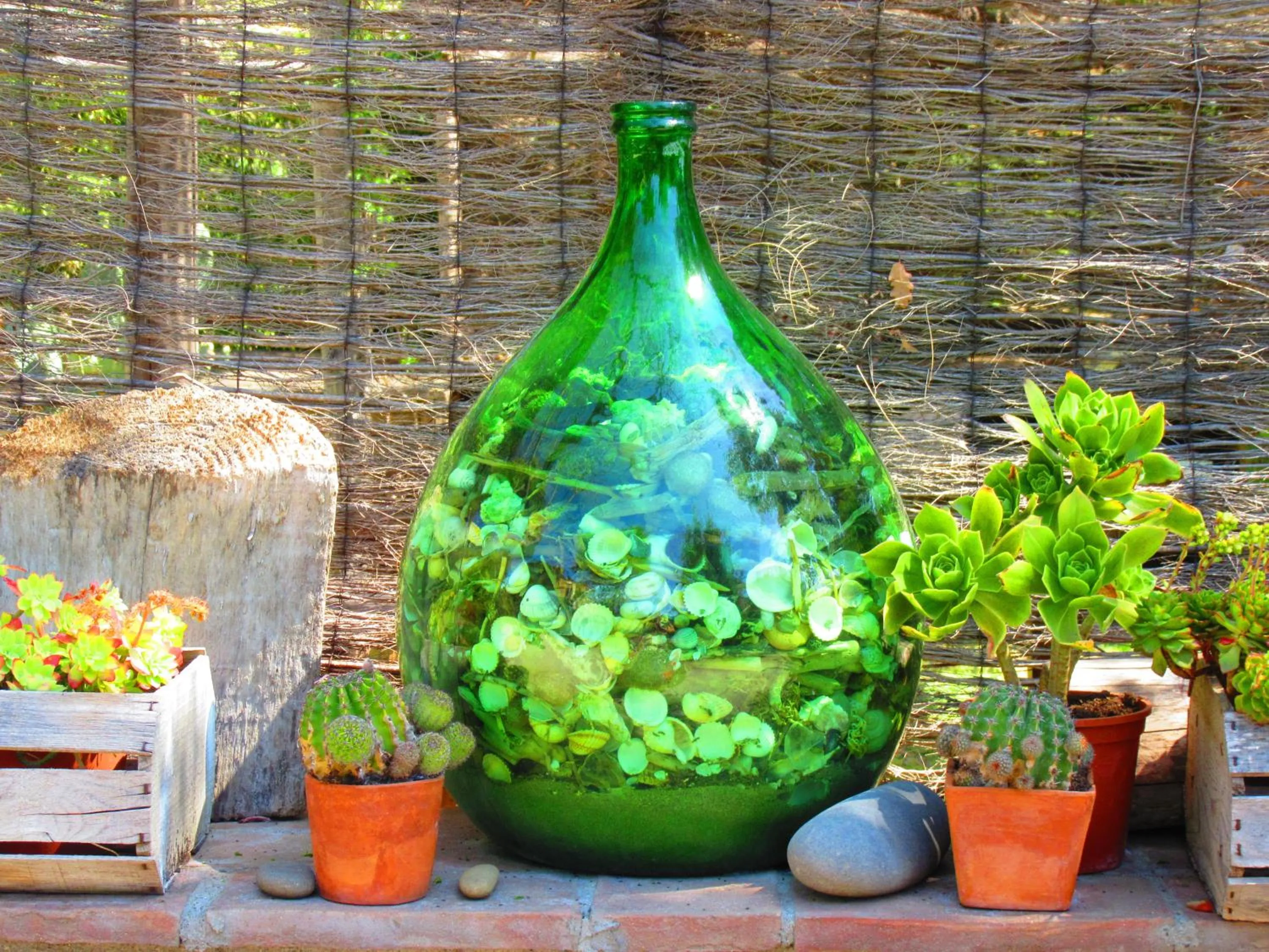 Agriturismo Serignano alle Rocchette