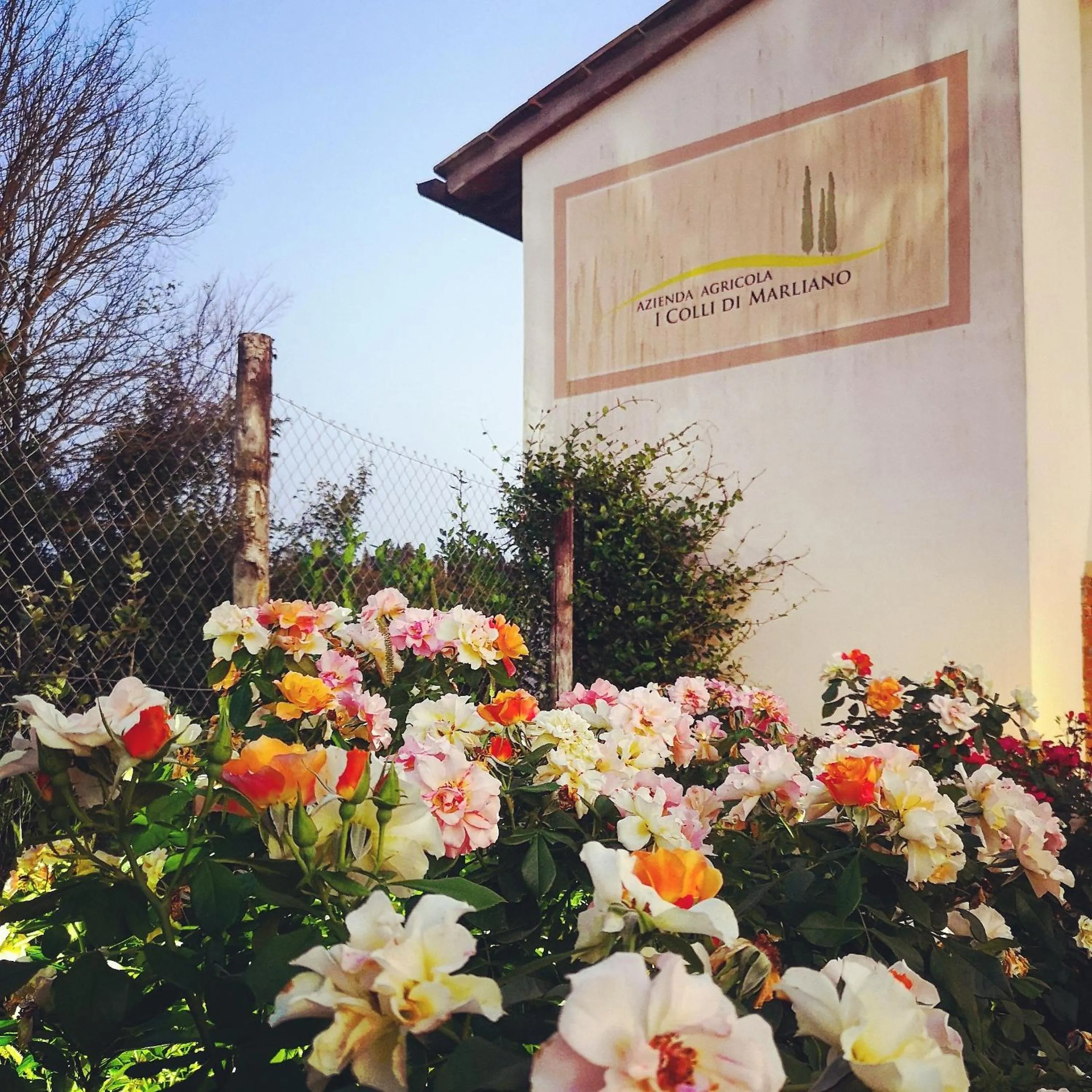 Garden in Azienda Agricola I Colli di Marliano