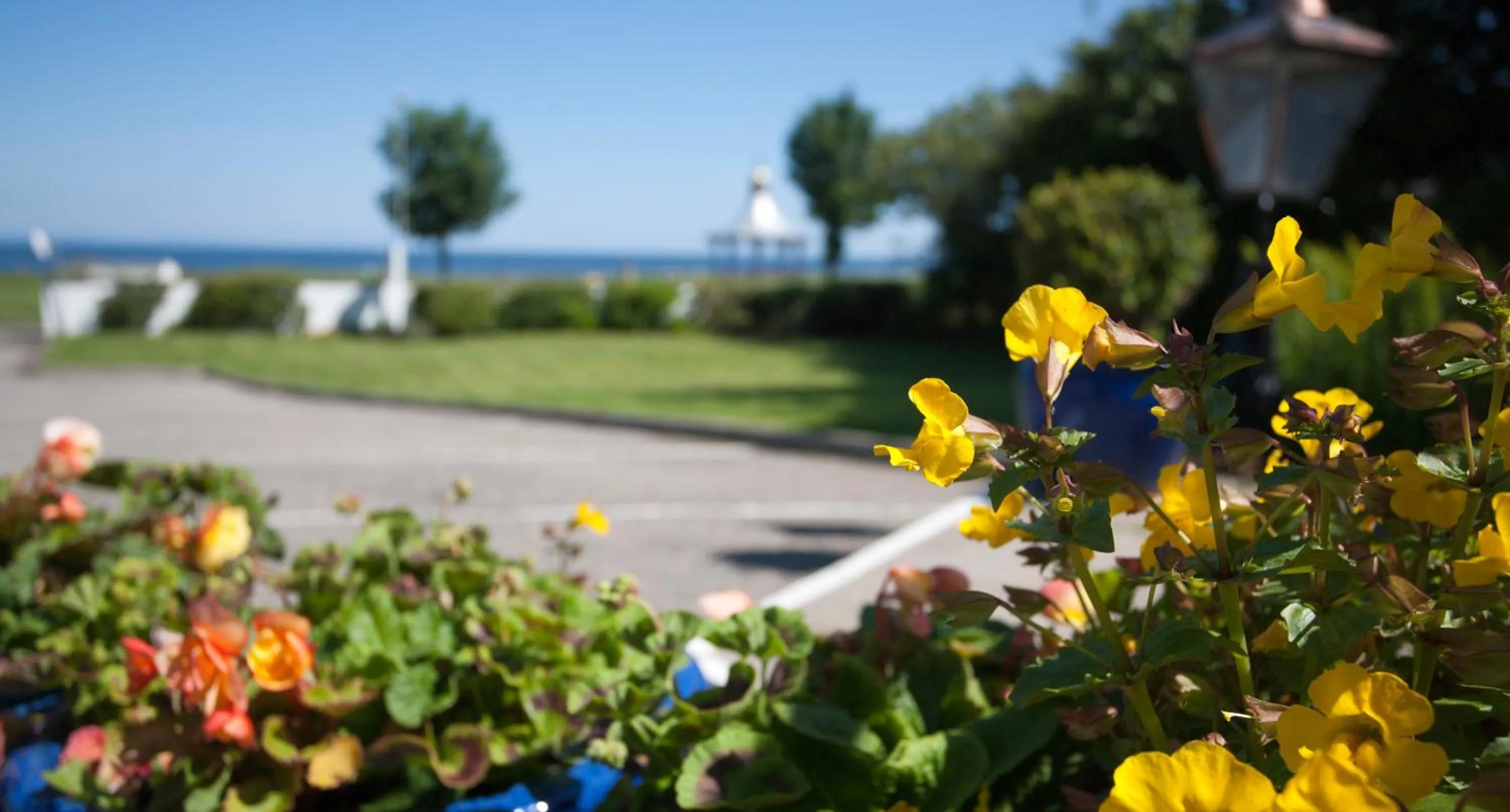 View (from property/room) in Sunny Brae Bed & Breakfast