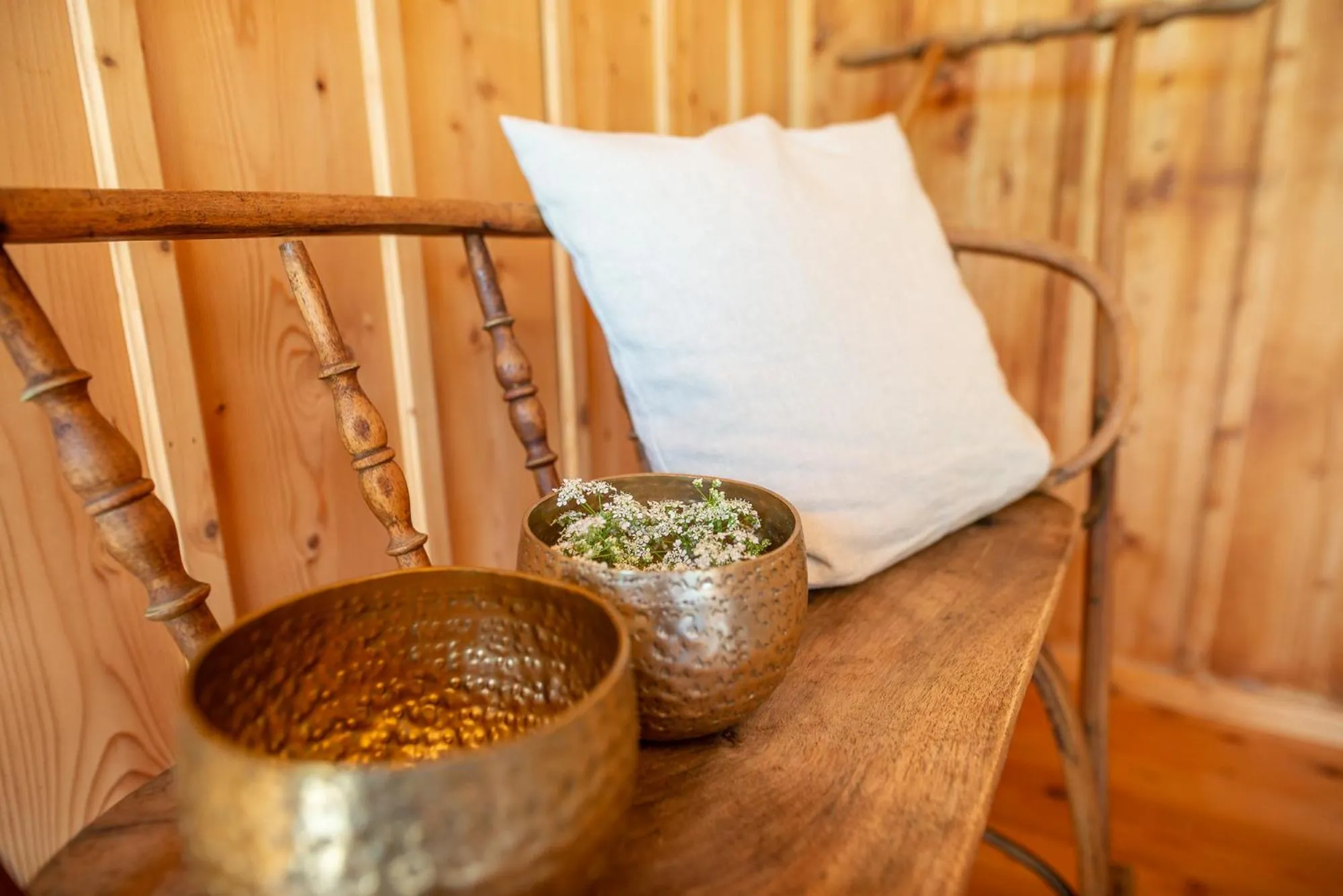 Area and facilities in Ferienhotel Idyll Gais