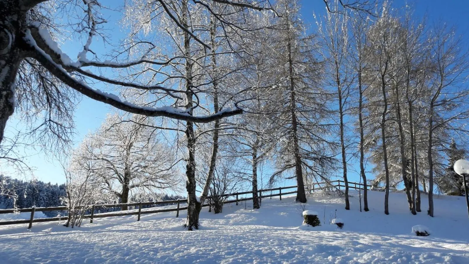 Garden view in Ferienhotel Idyll Gais