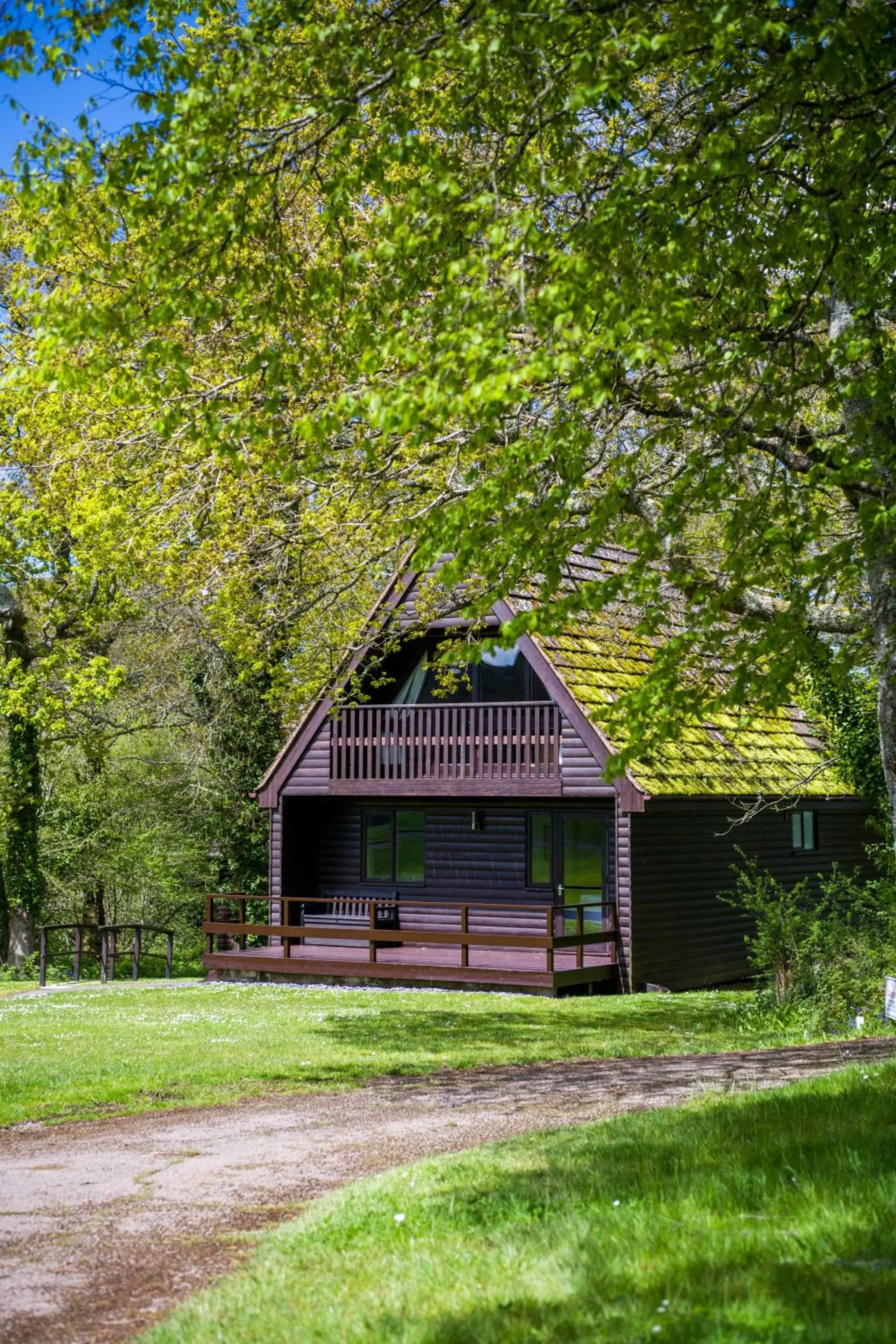 Garden in Woodbury Park Hotel & Spa