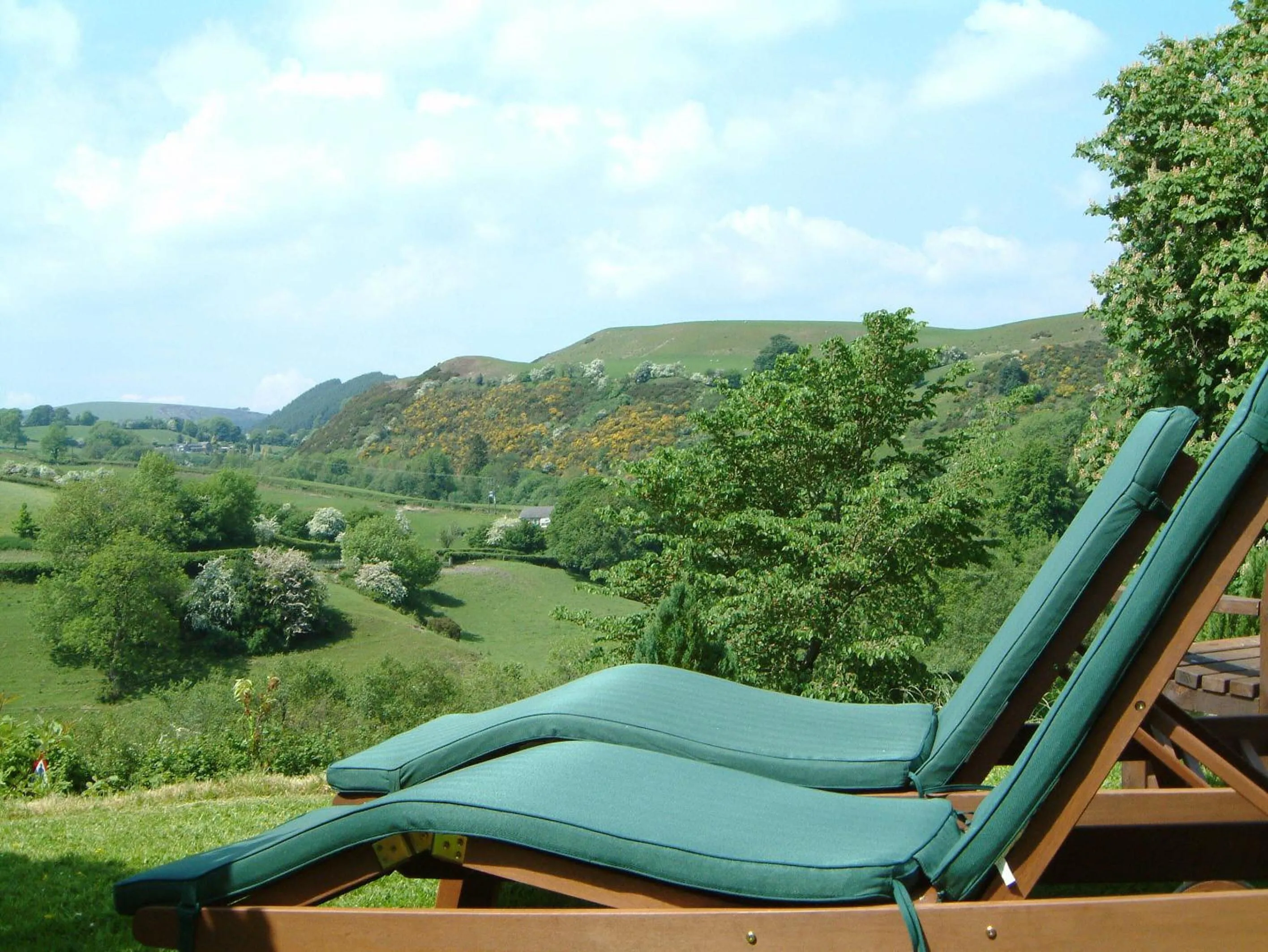 Natural landscape in Pen-Y-Dyffryn Country Hotel