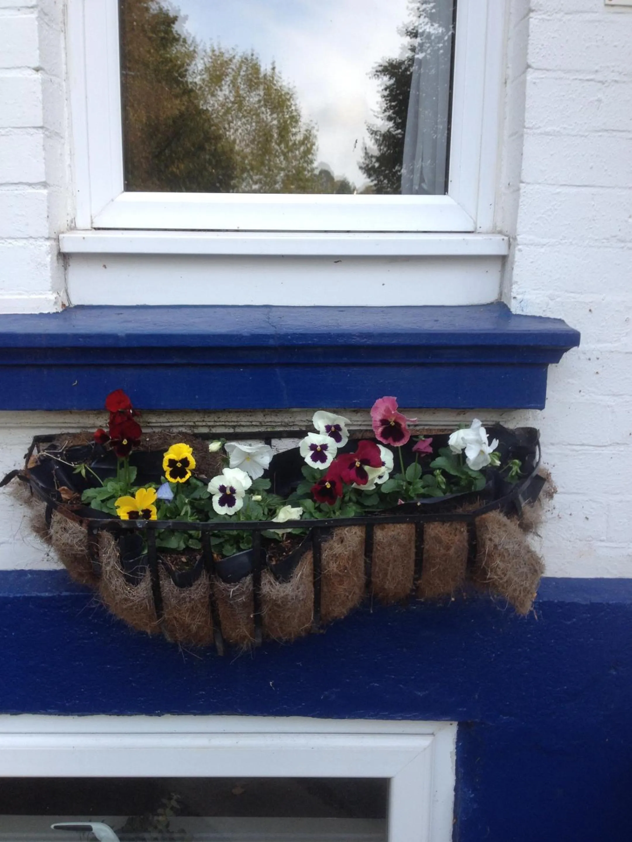 Property building in The Brandize Guest House