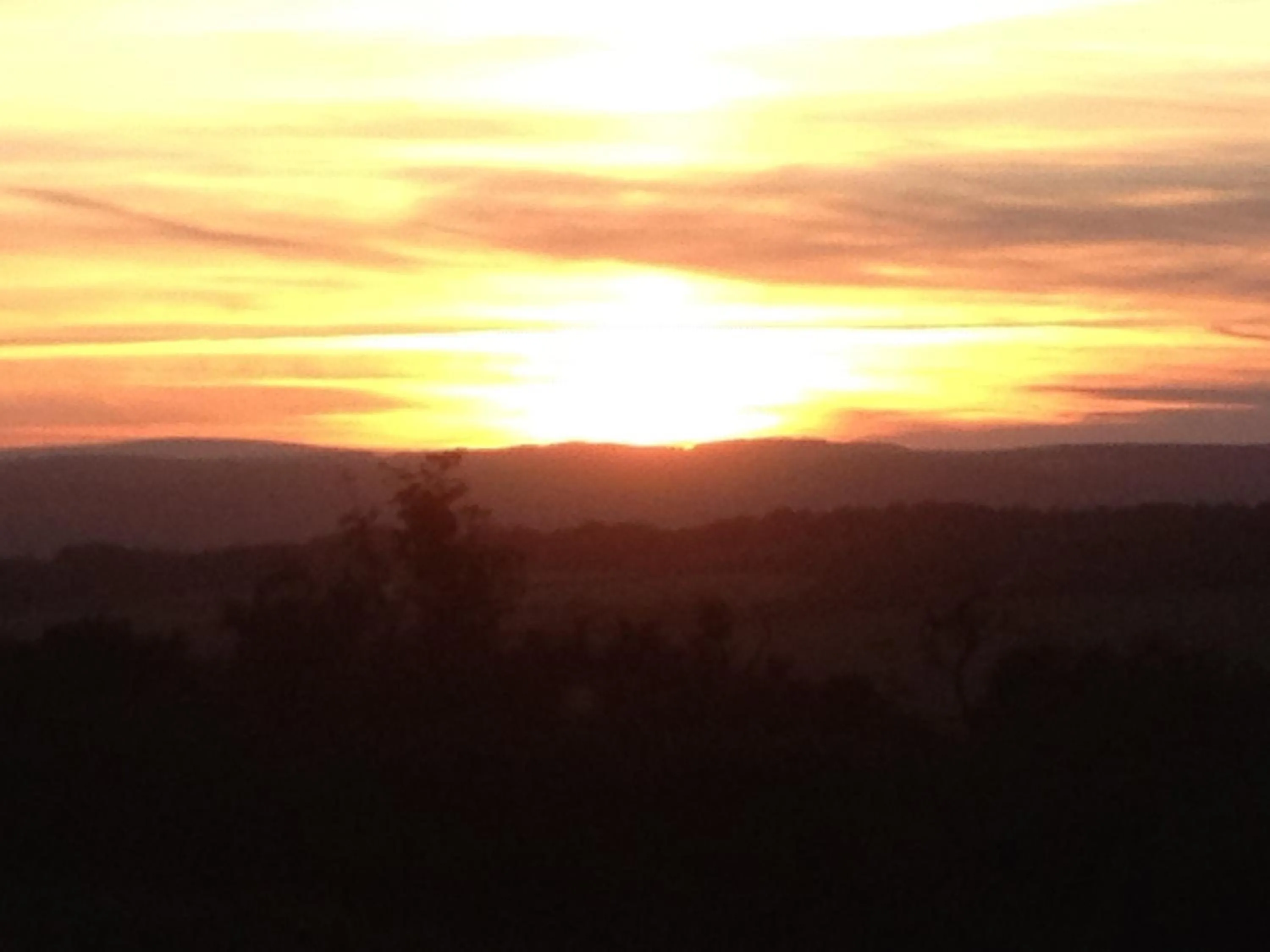 Neighbourhood in The Brandize Guest House