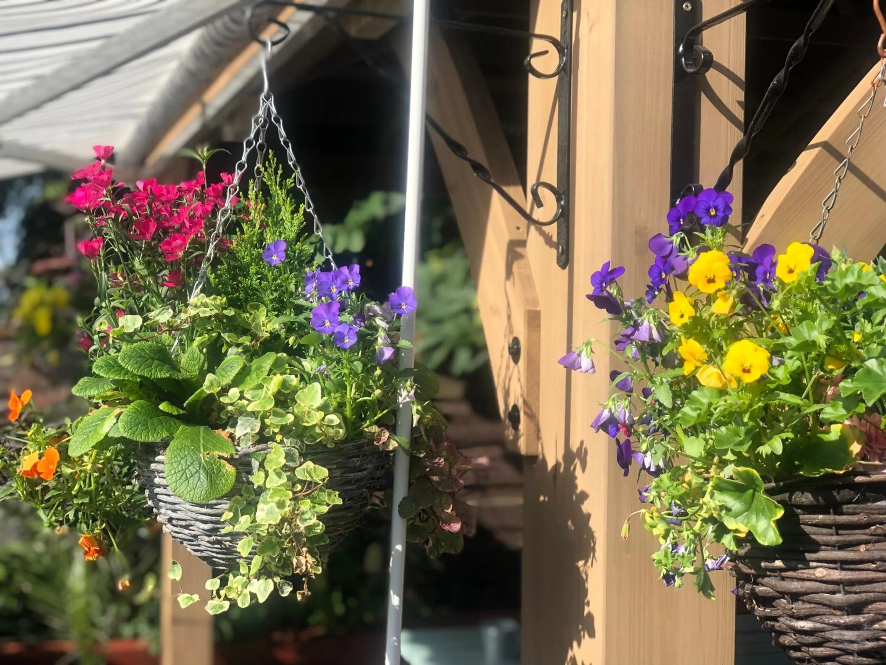 Patio in Hendham House