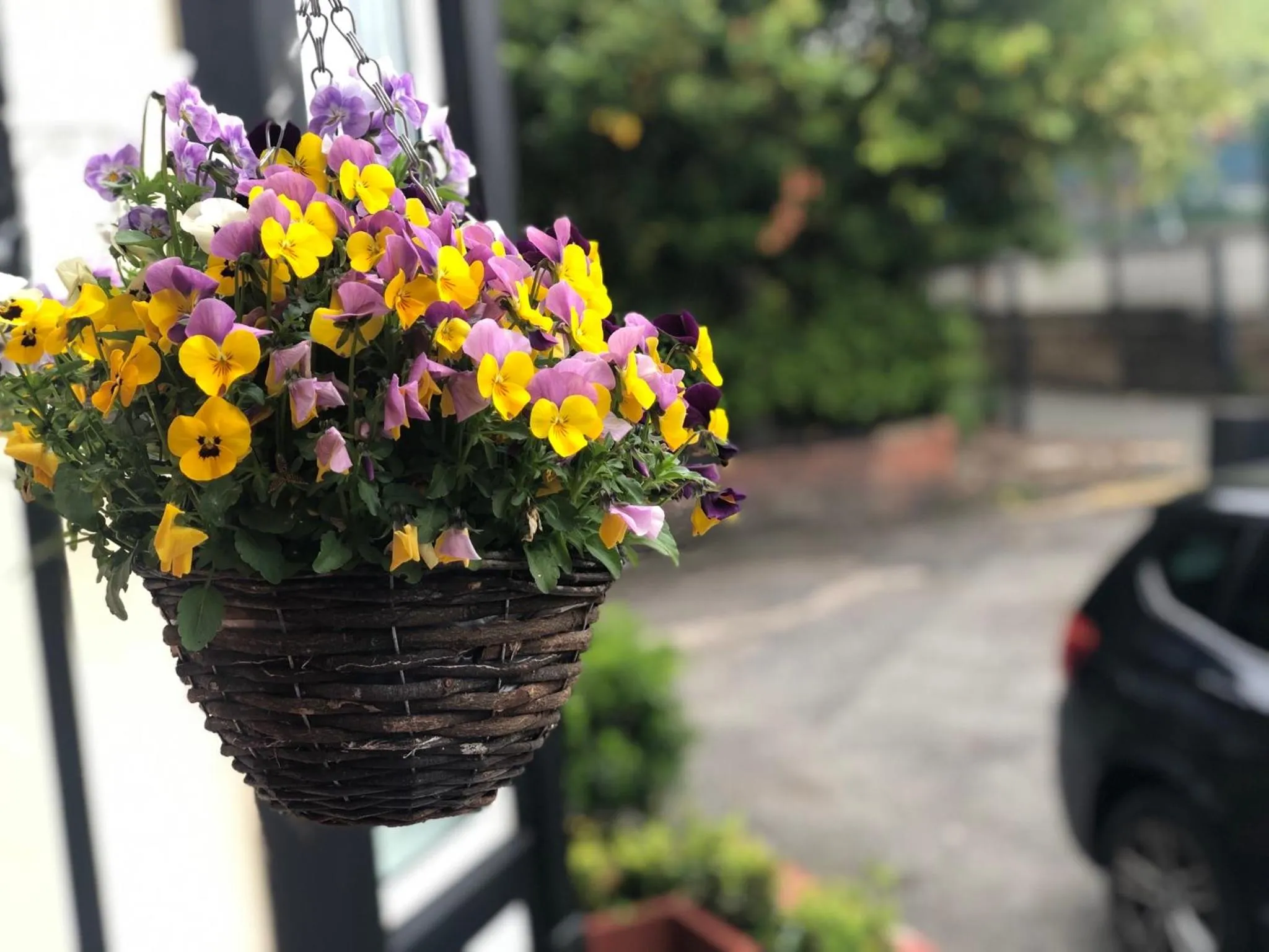 Patio in Hendham House