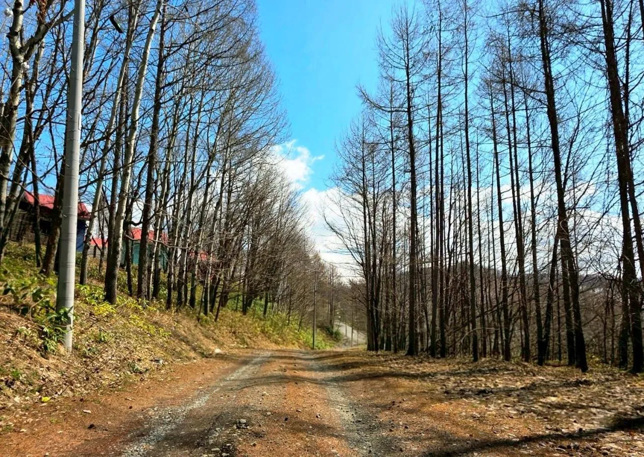 Auberge Ninguruforet