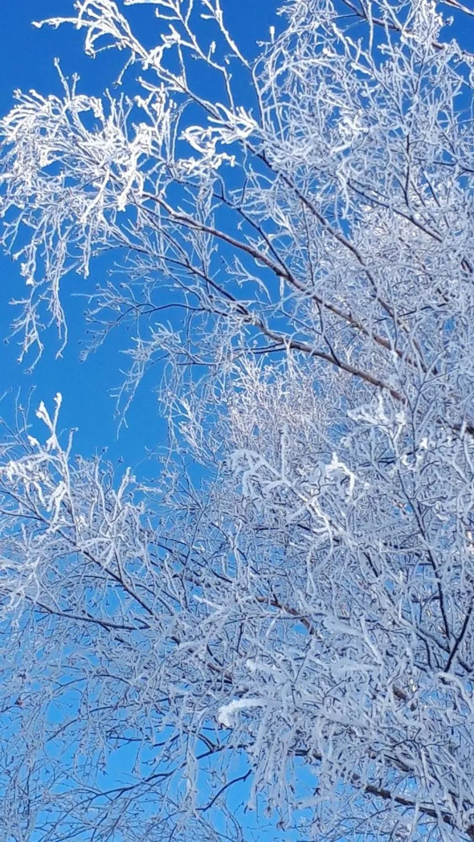 Auberge Ninguruforet