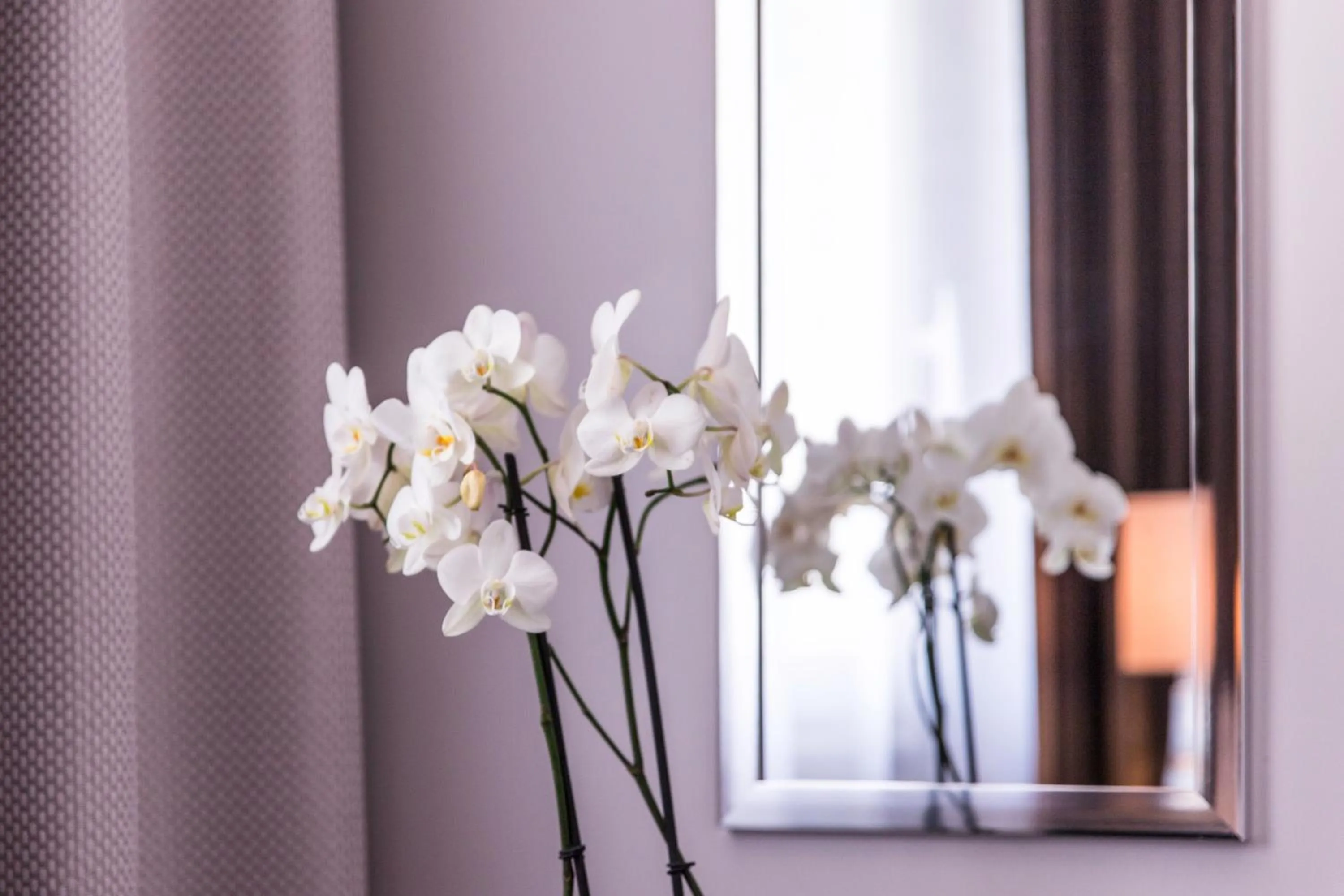 Hôtel des Augustins