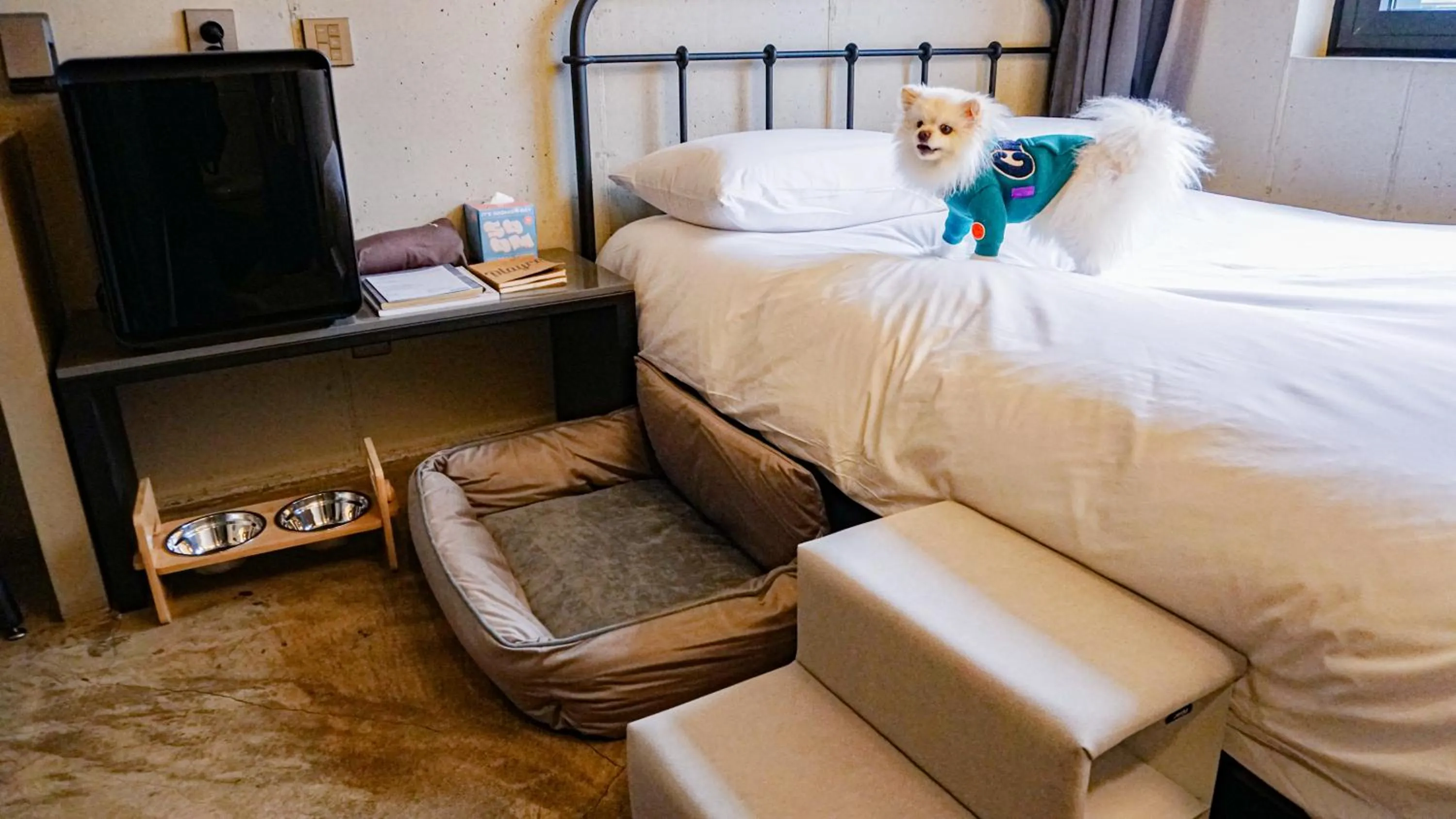 Bed in Playce Camp Jeju