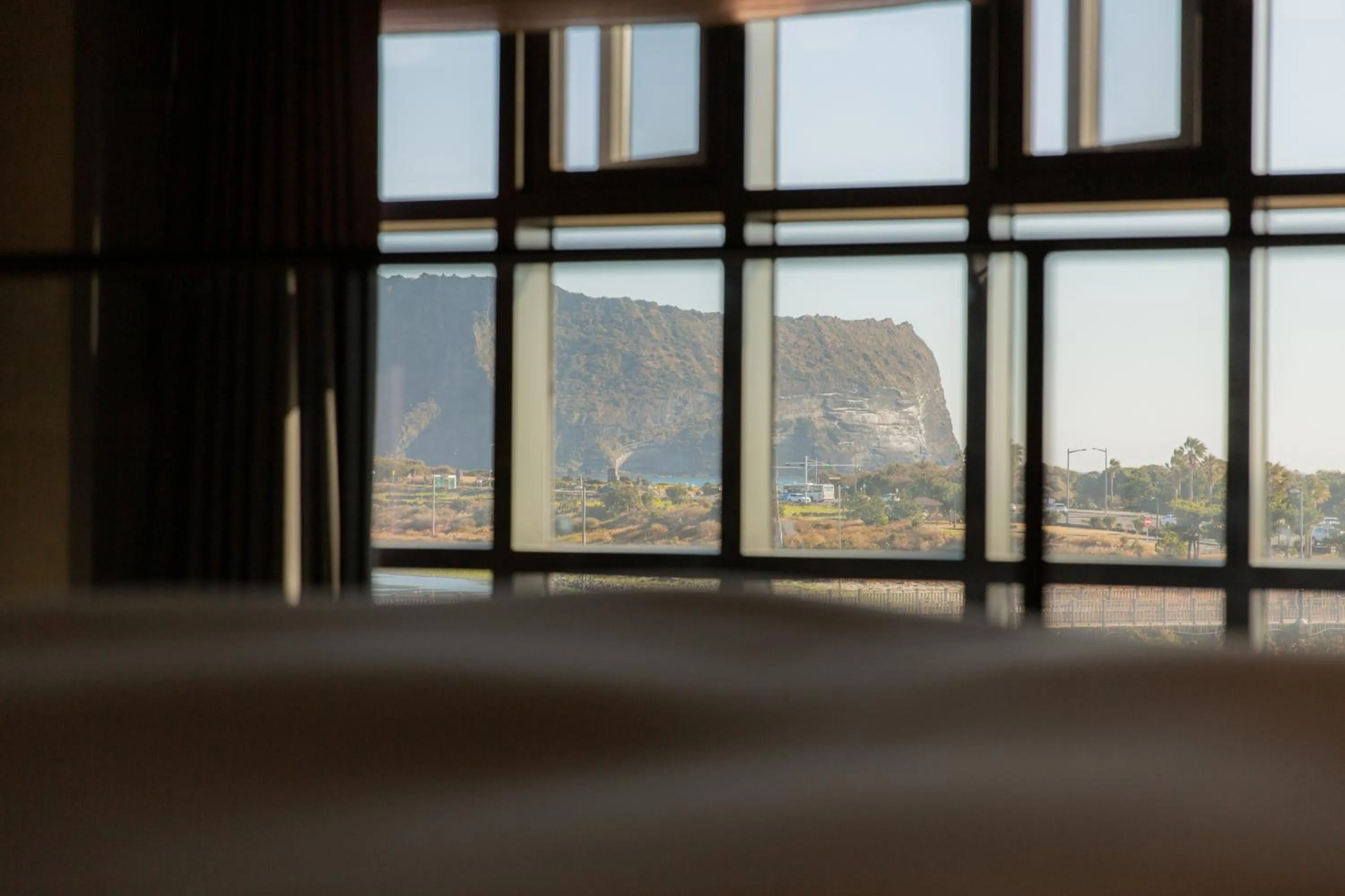 Mountain view, Bed in Playce Camp Jeju