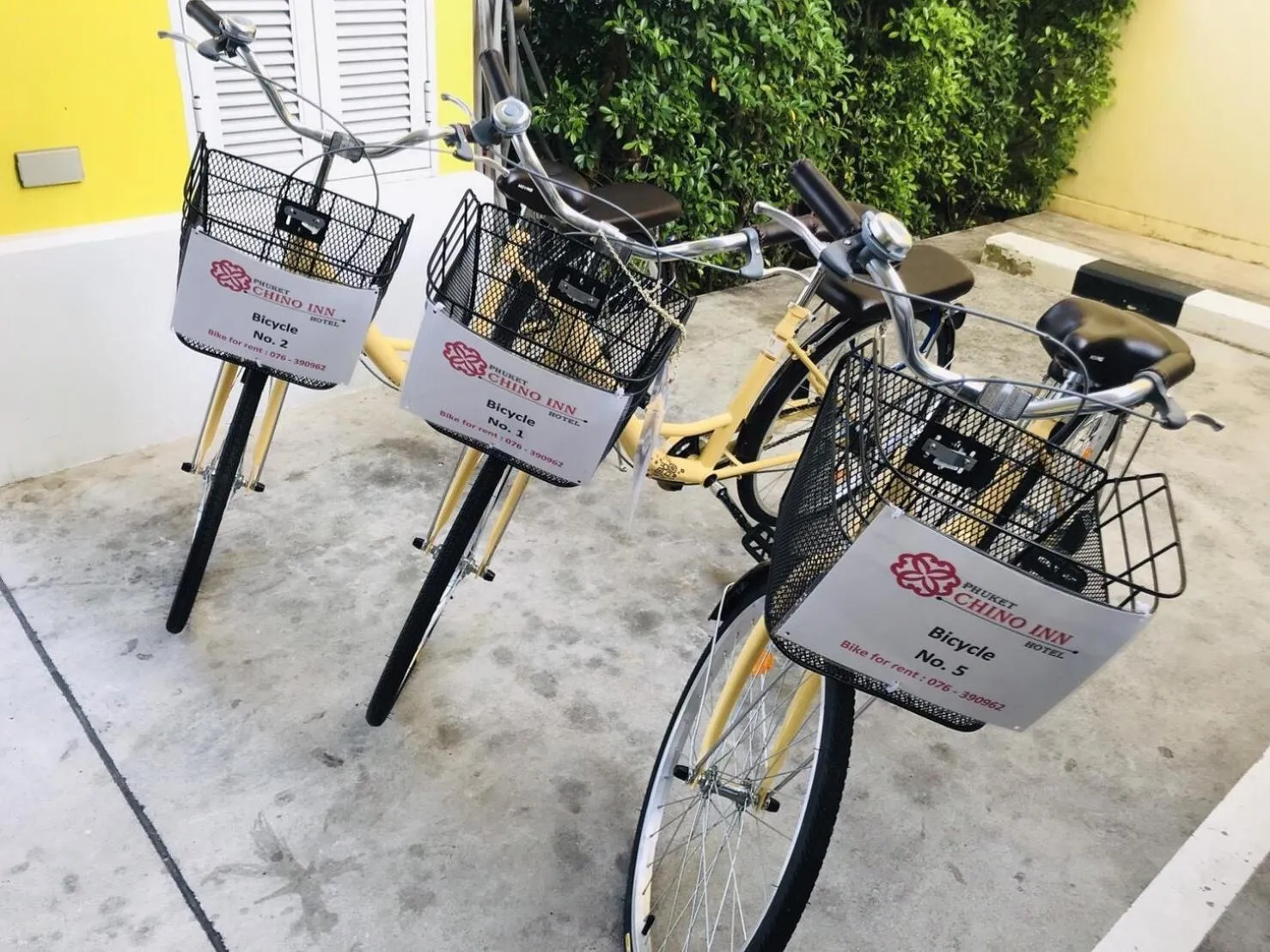 Cycling in Phuket Chinoinn-SHAPlus Certified