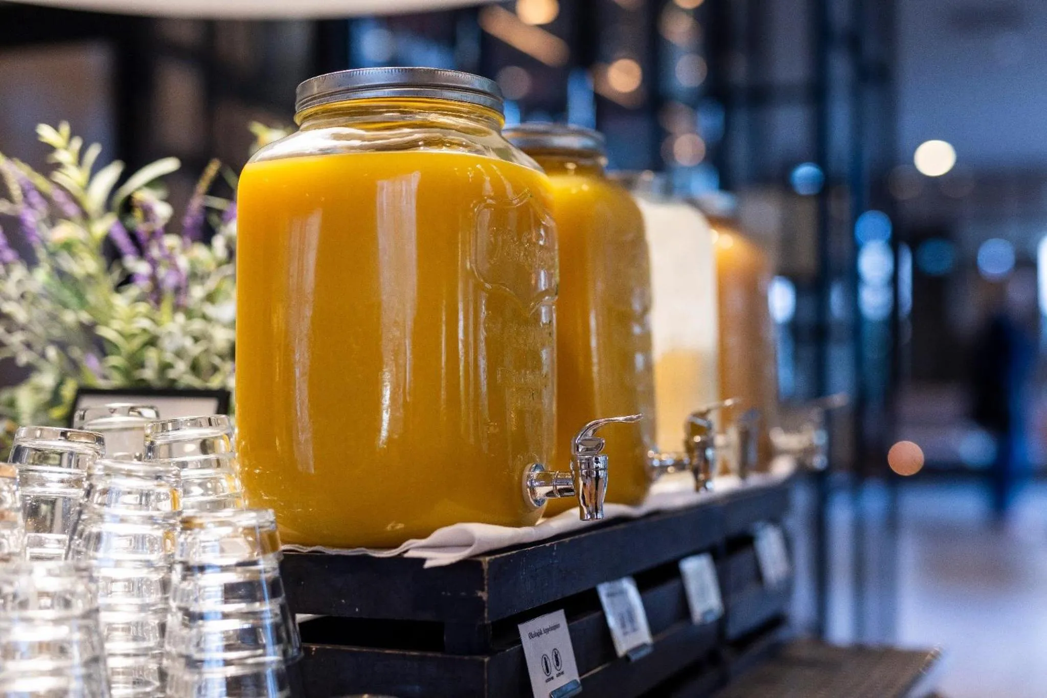 Breakfast in Hotel Odeon