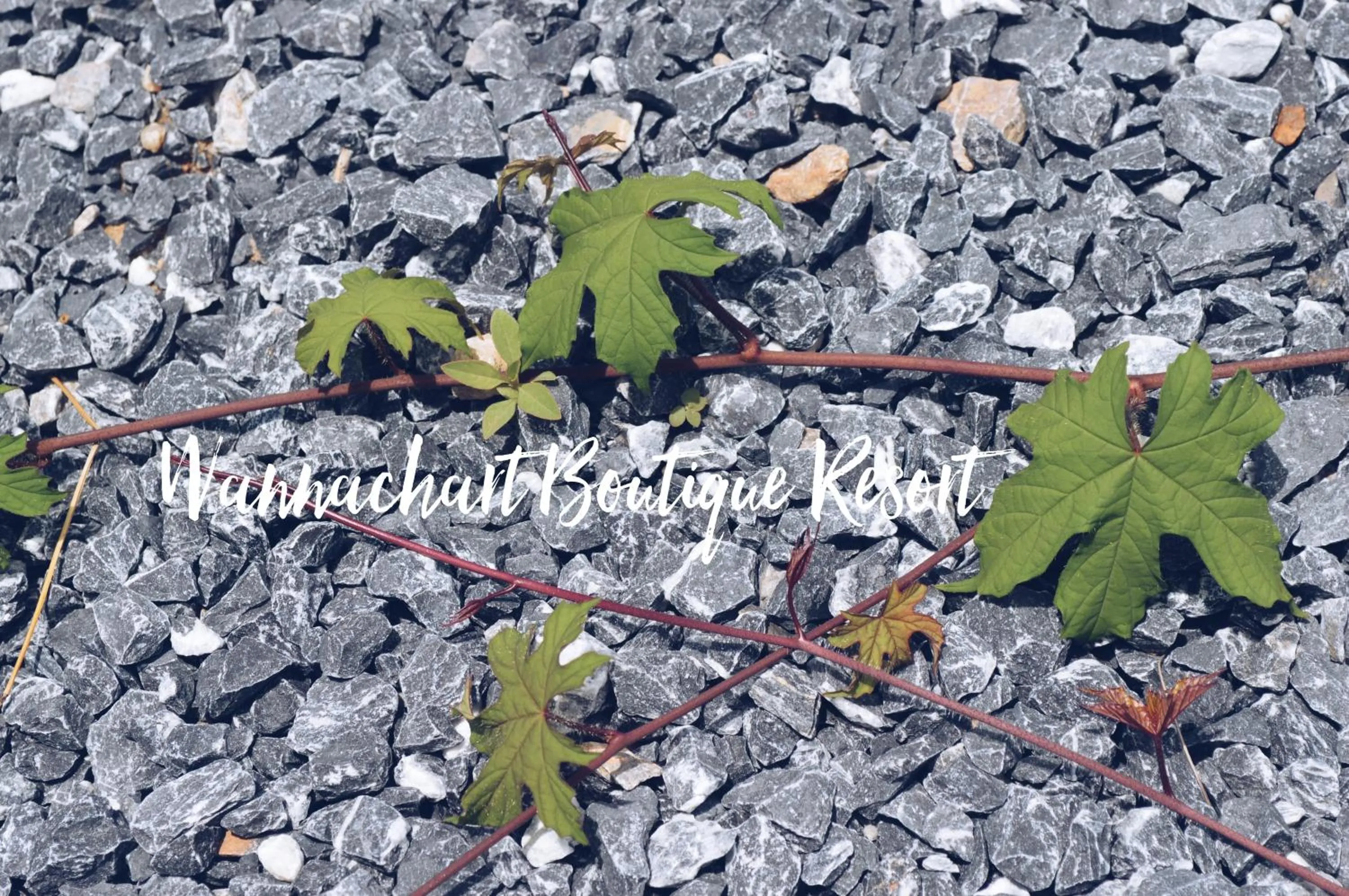 Wannachart Boutique Resort