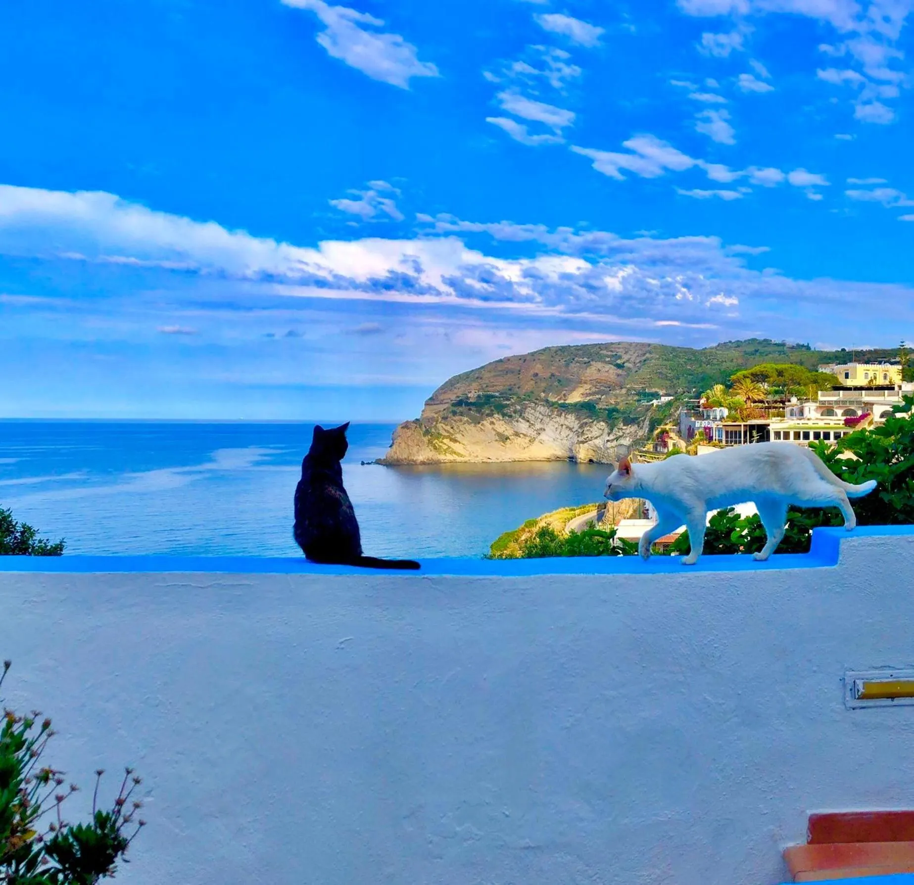 Natural landscape in Casa Assunta