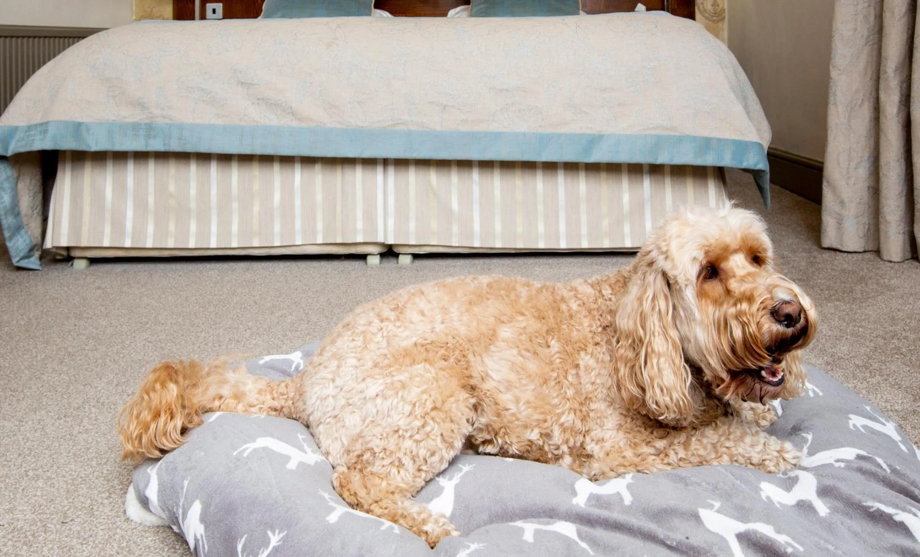 Bed in Herriots Hotel