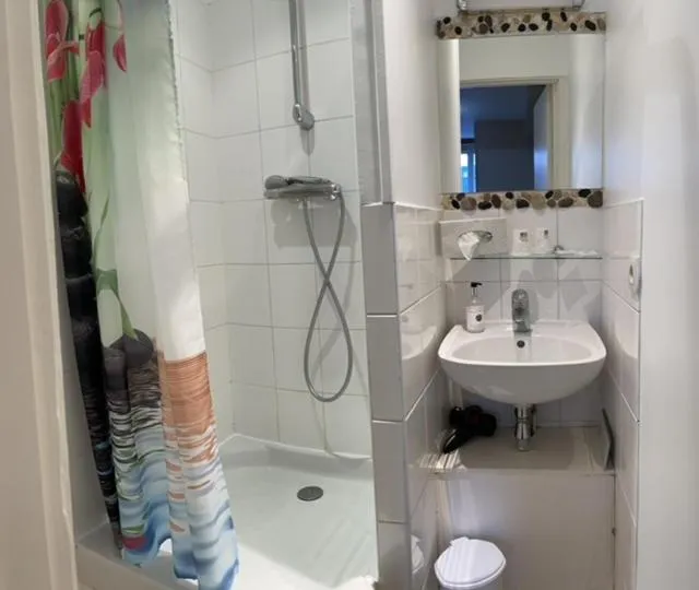 Toilet in Hôtel de la Côte Fleurie