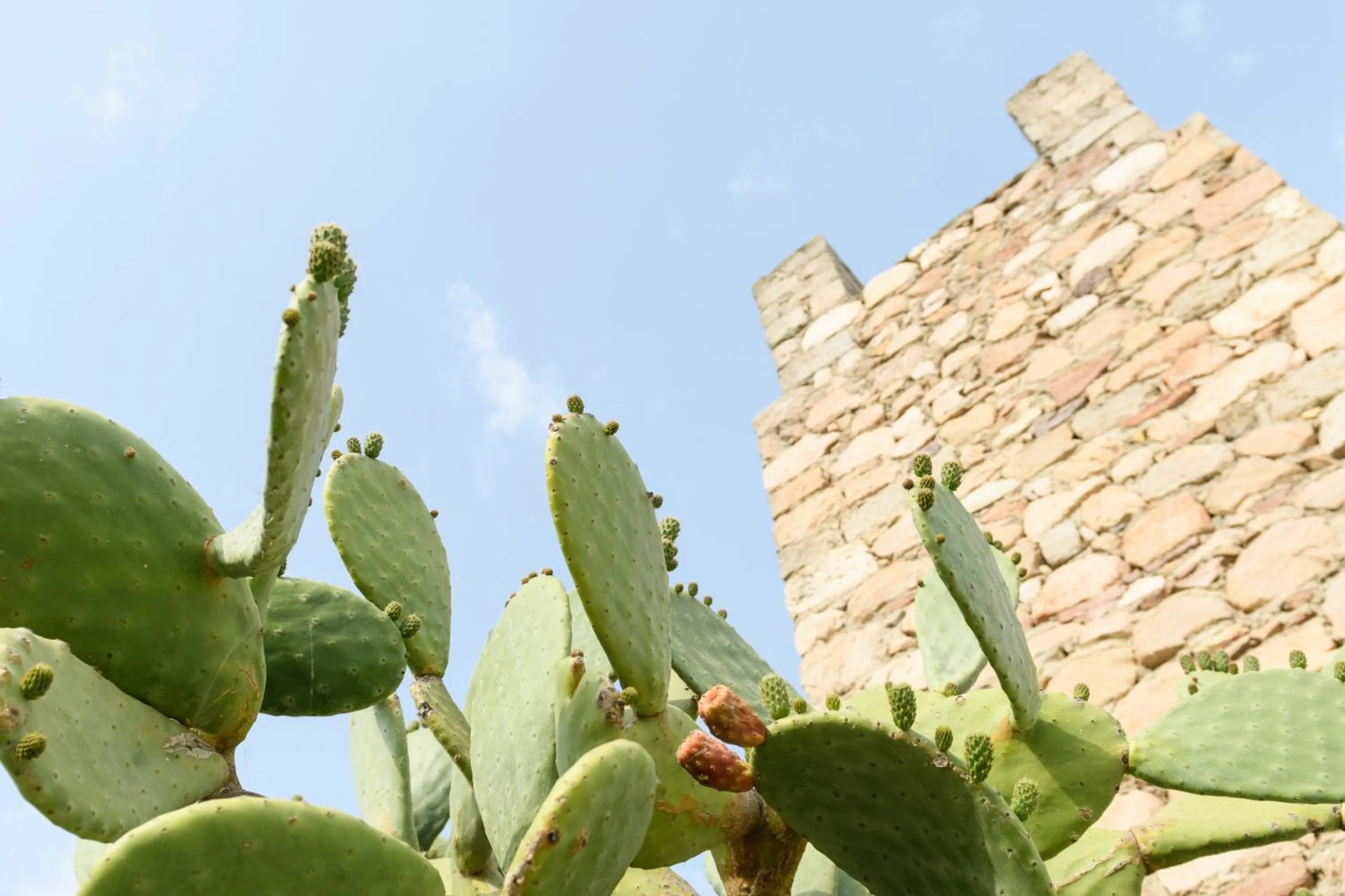 Nearby landmark in Villa Notos