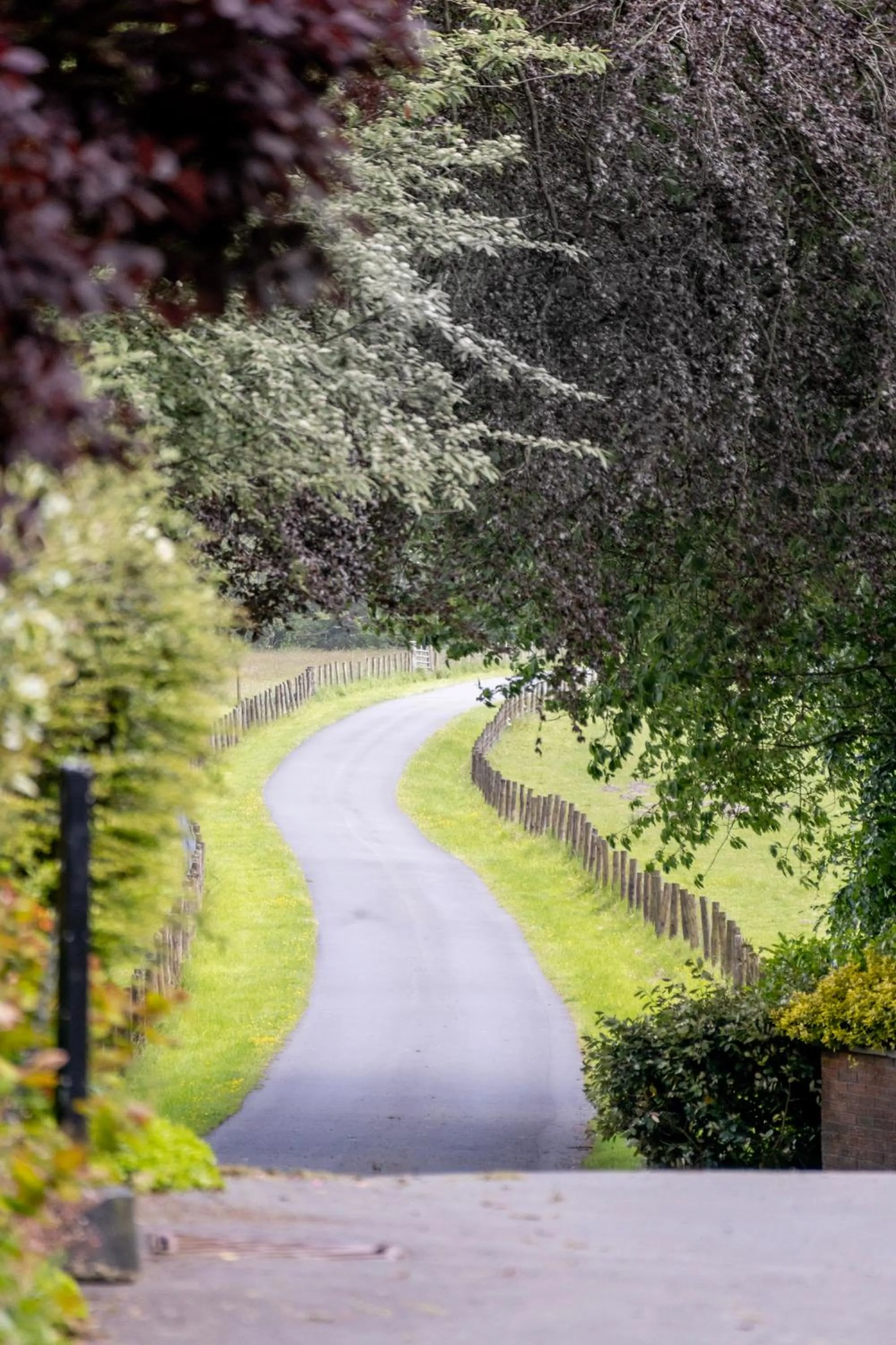 Natural landscape in The Falcondale Country House Hotel