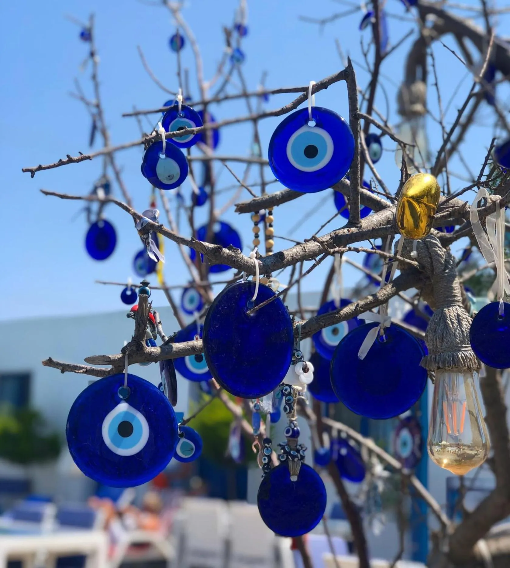 Day in Mavi Pansiyon & Restaurant