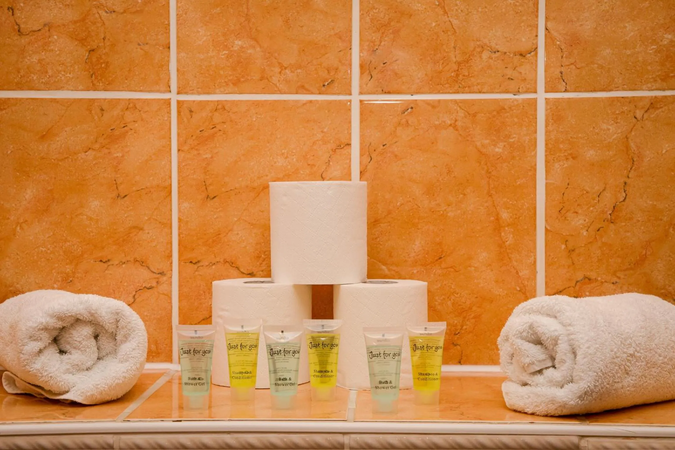 Shower in The Royal Oak Hotel