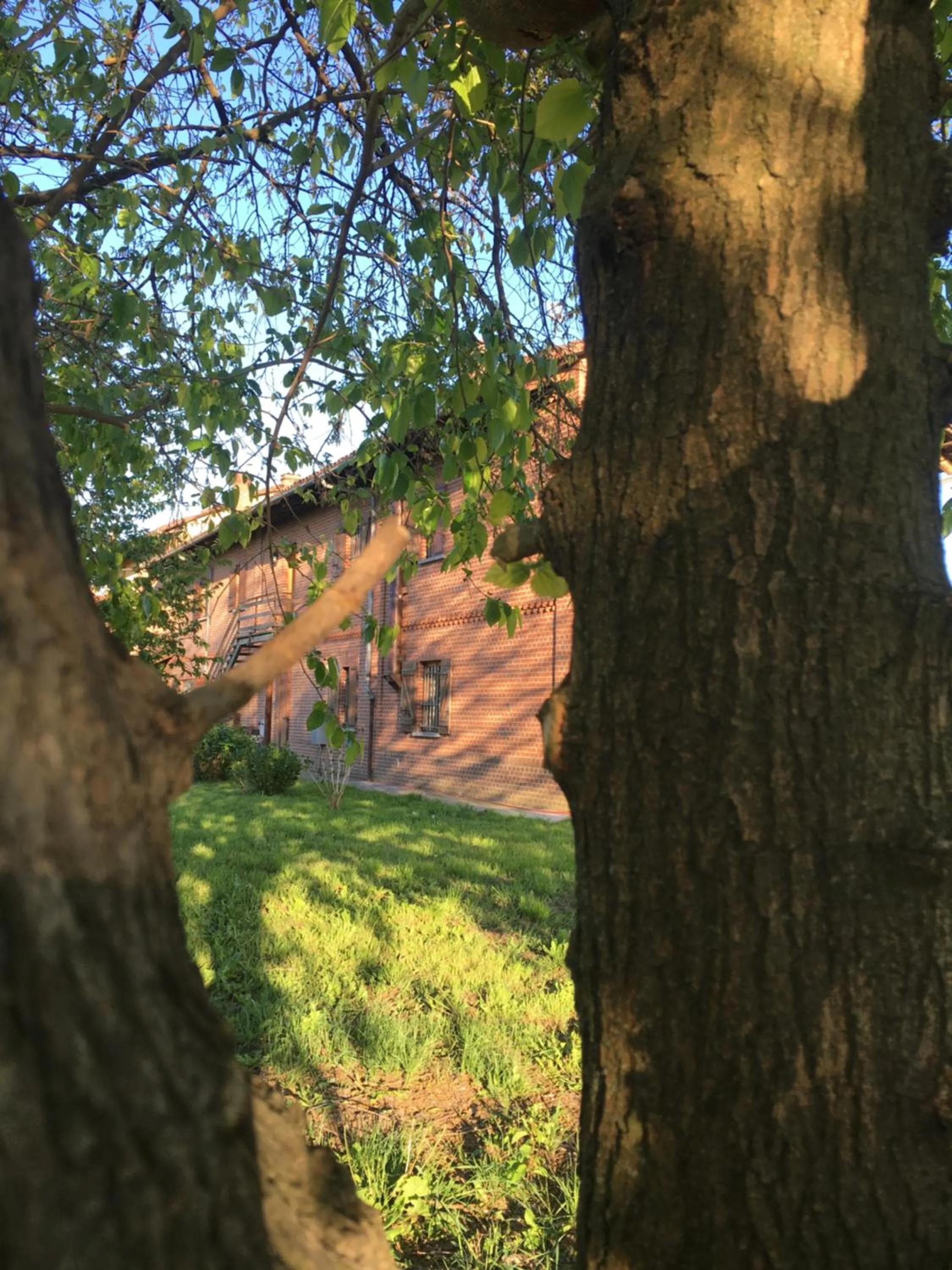 Bed & Breakfast Il mio Gelso