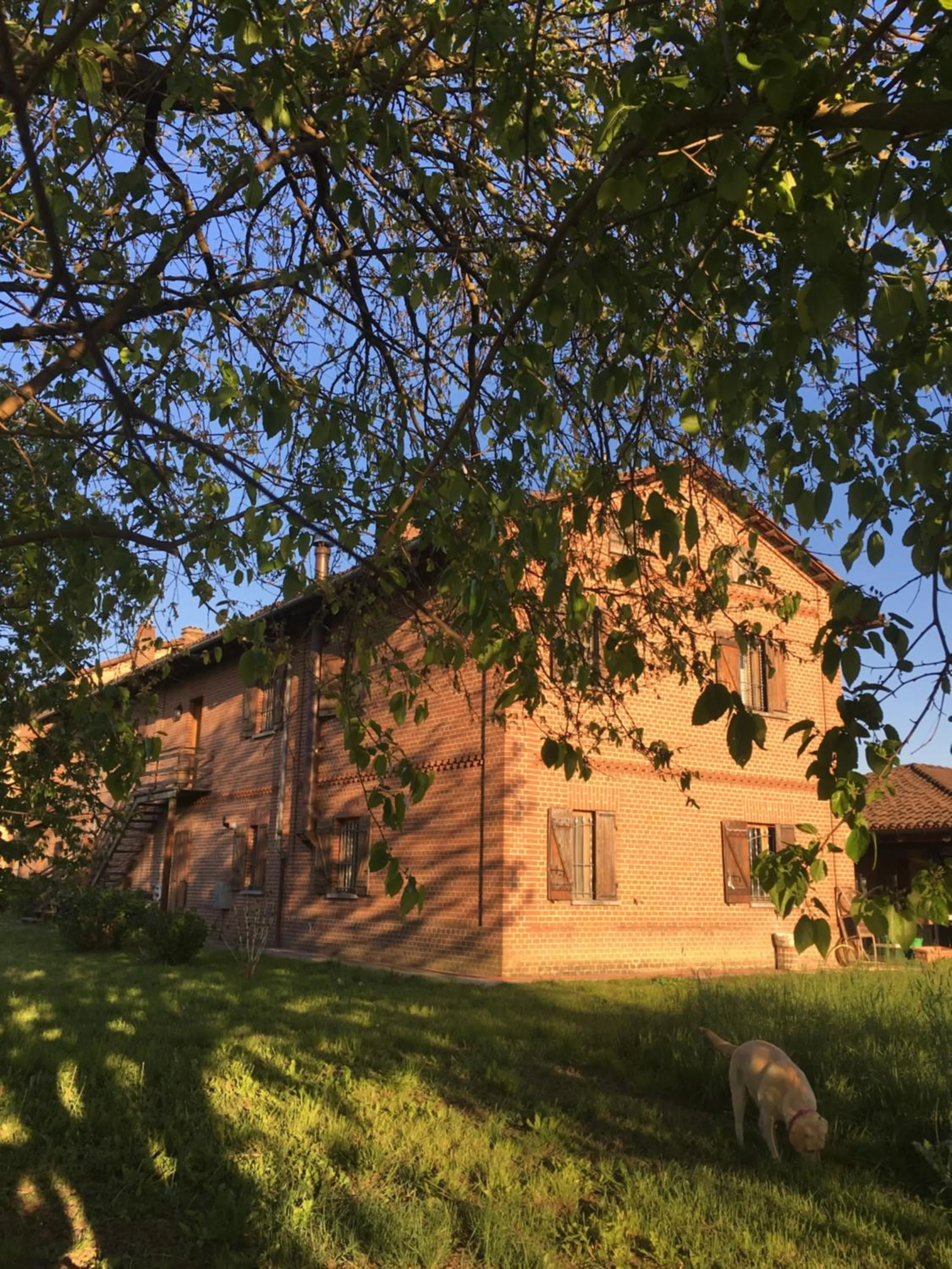 Bed & Breakfast Il mio Gelso