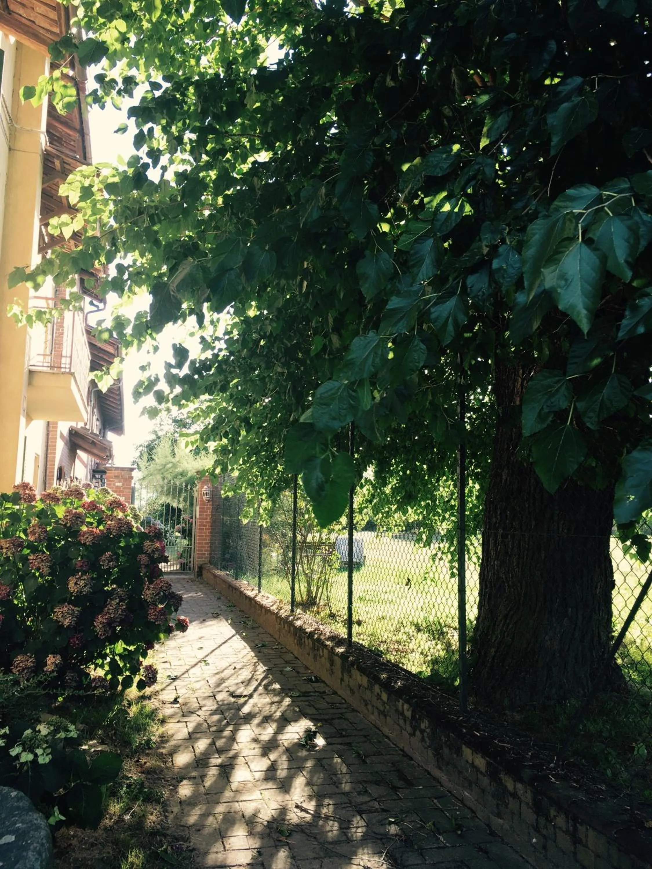 Bed & Breakfast Il mio Gelso