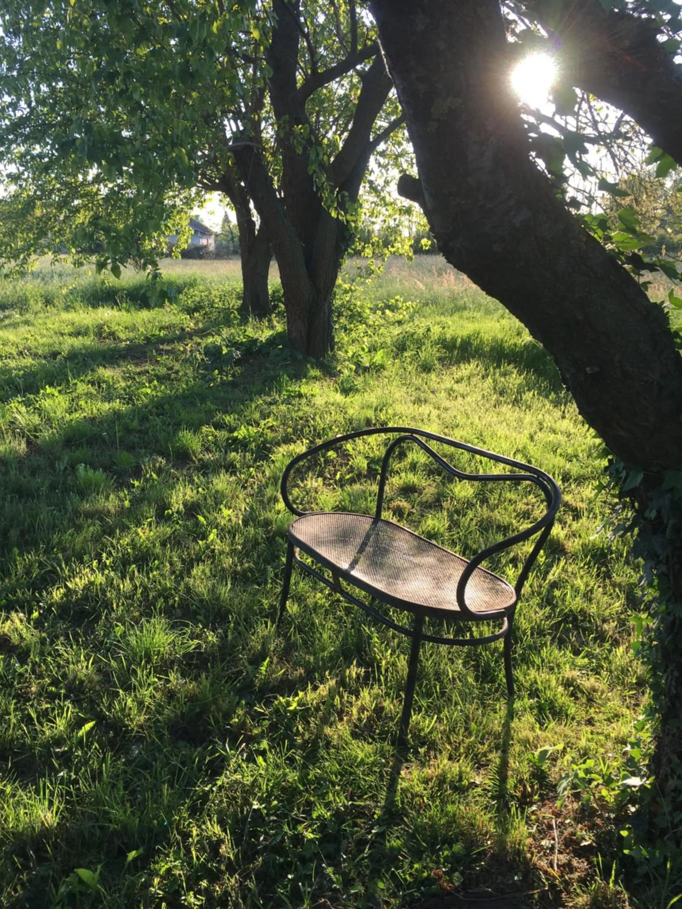 Bed & Breakfast Il mio Gelso