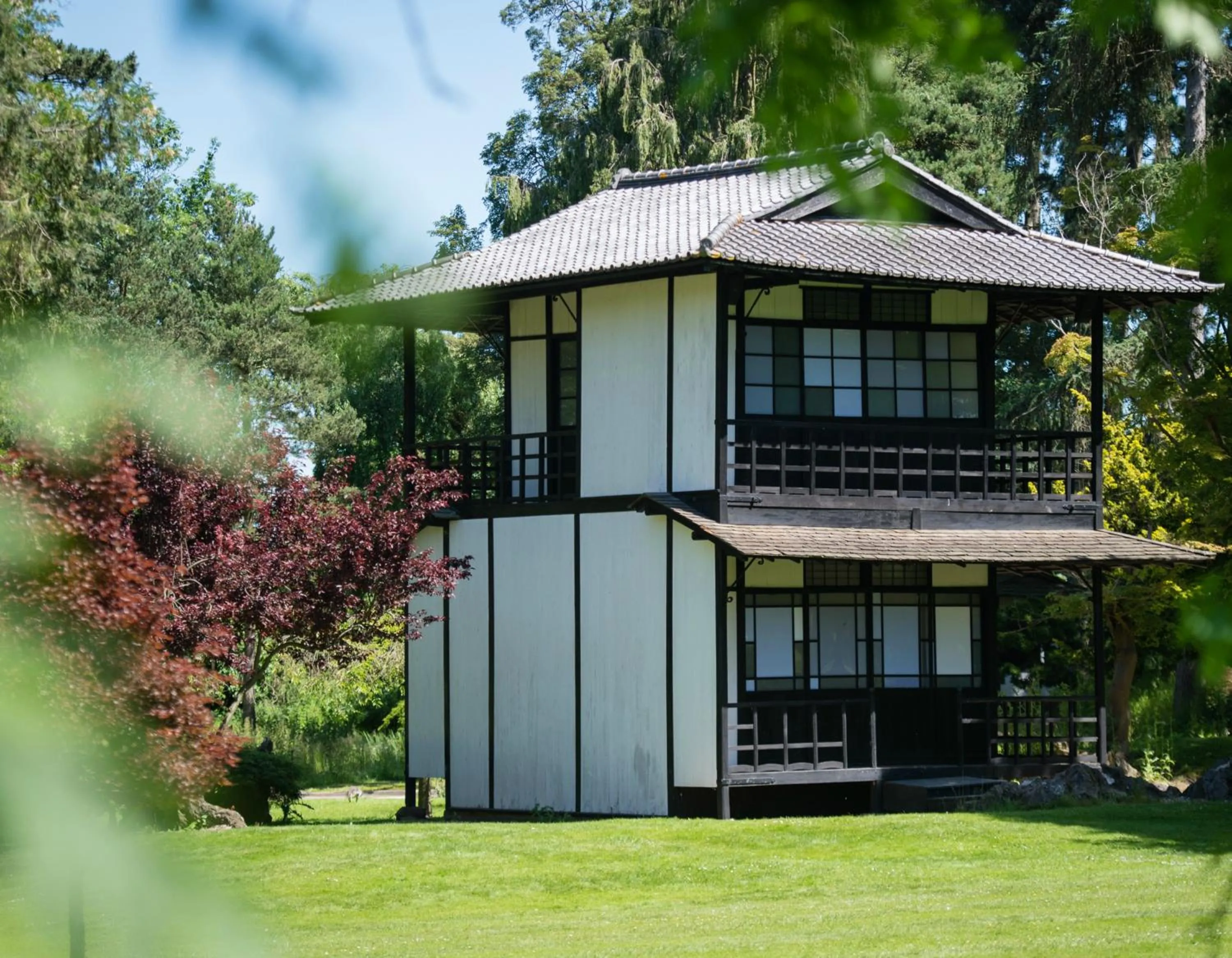 Garden in Fanhams Hall, Exclusive Collection