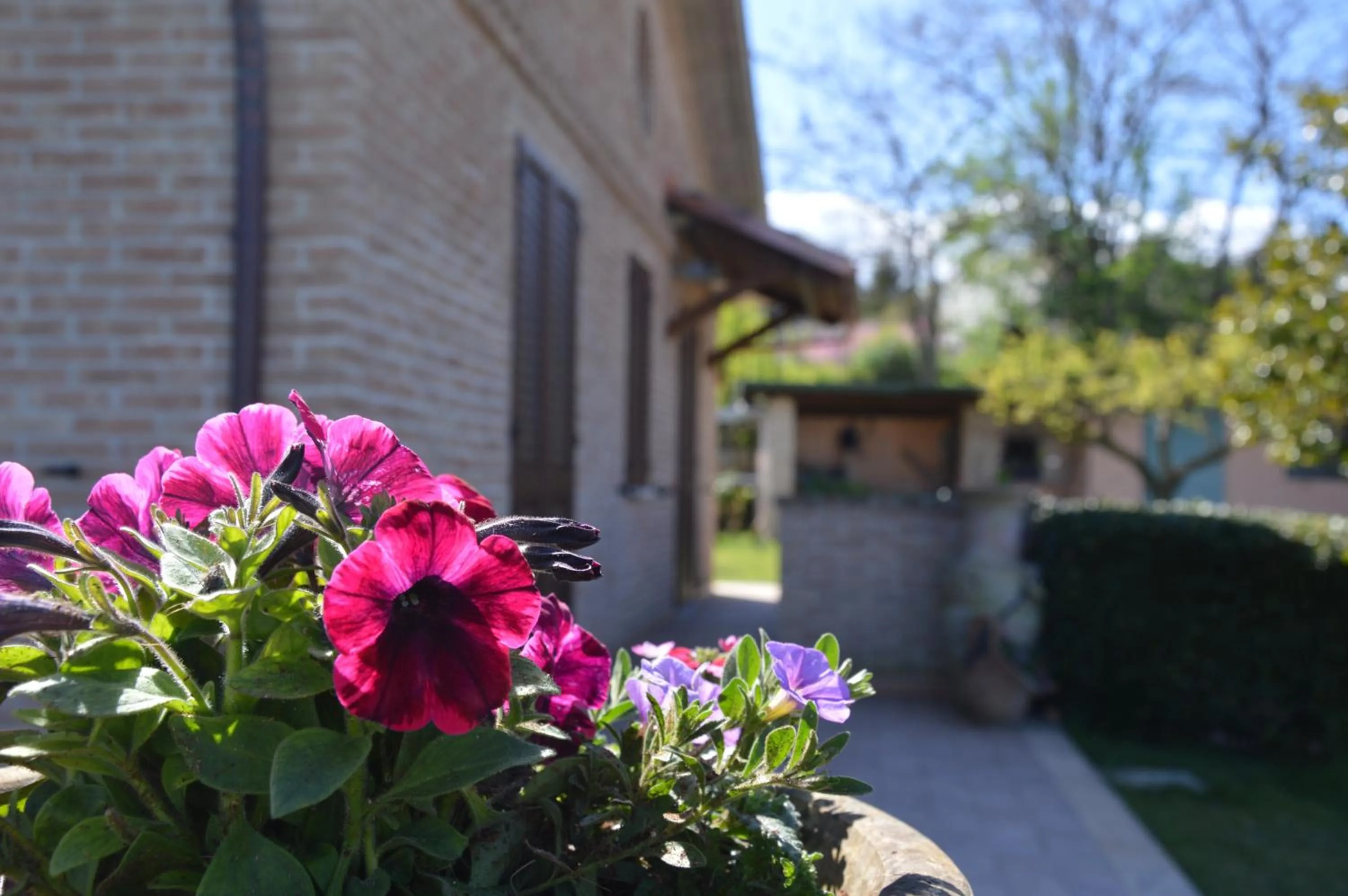 Property building in B&B Madonna Carradori