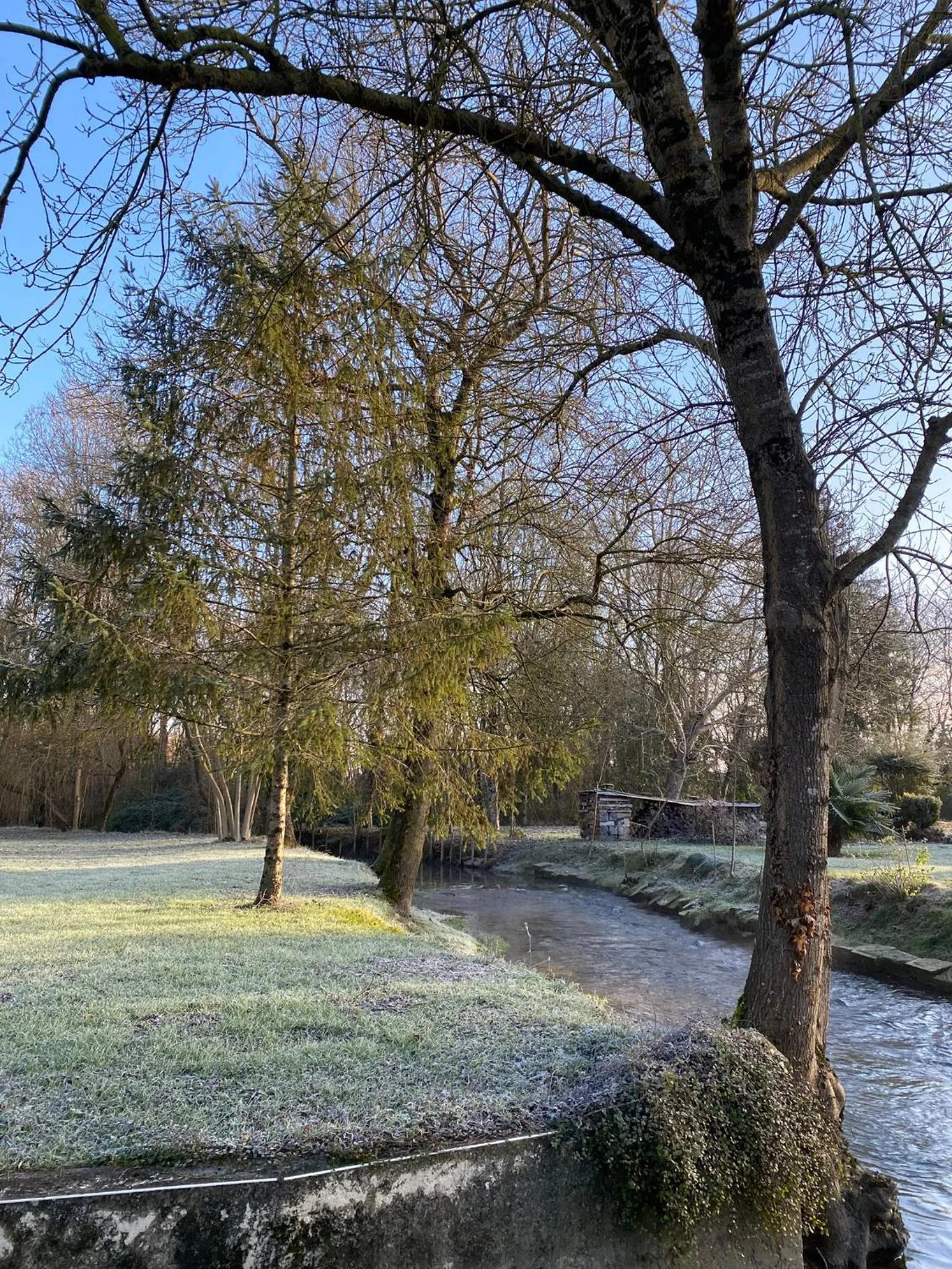 Le p'tit nid de Gabriel