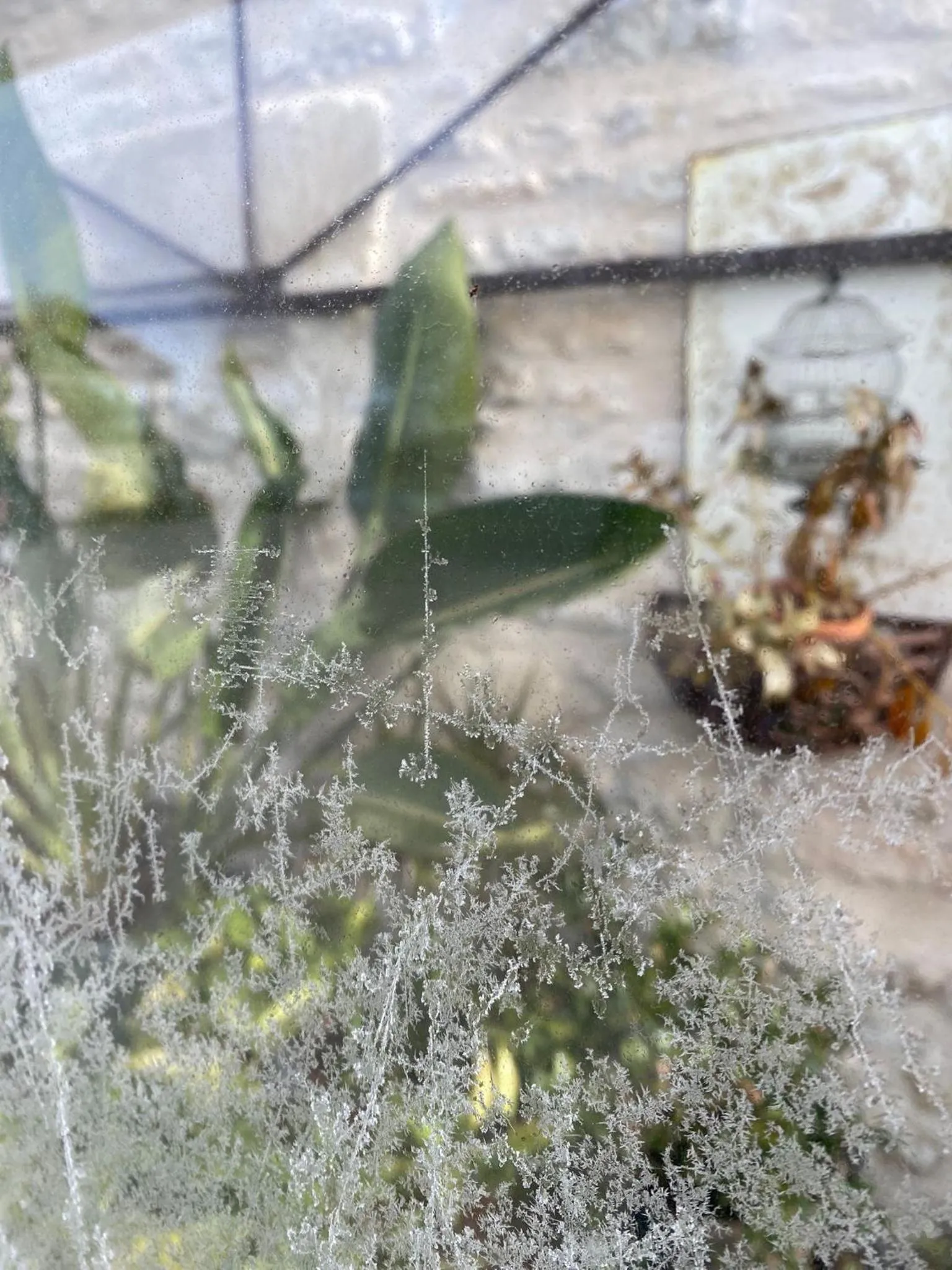 Le p'tit nid de Gabriel