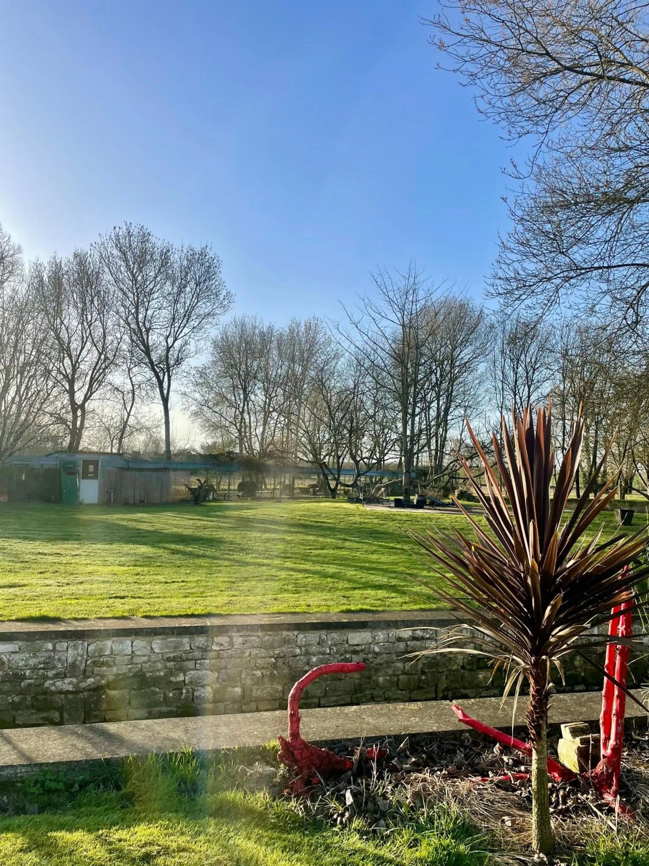 Le p'tit nid de Gabriel