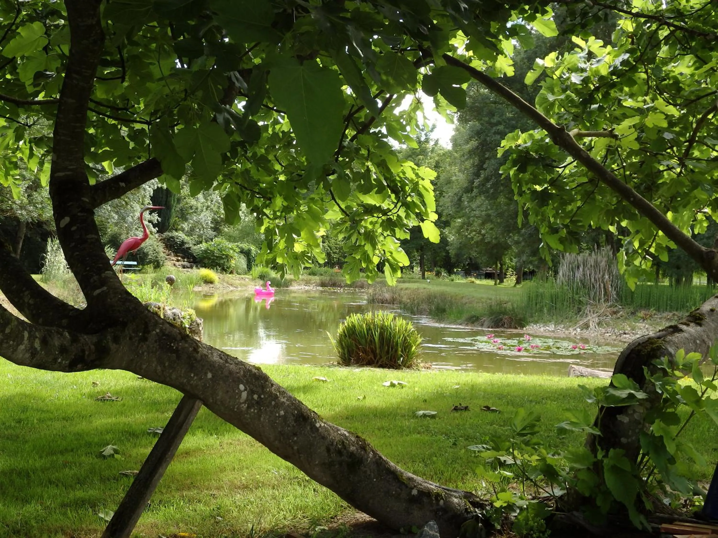 Natural landscape in Le p'tit nid de Gabriel
