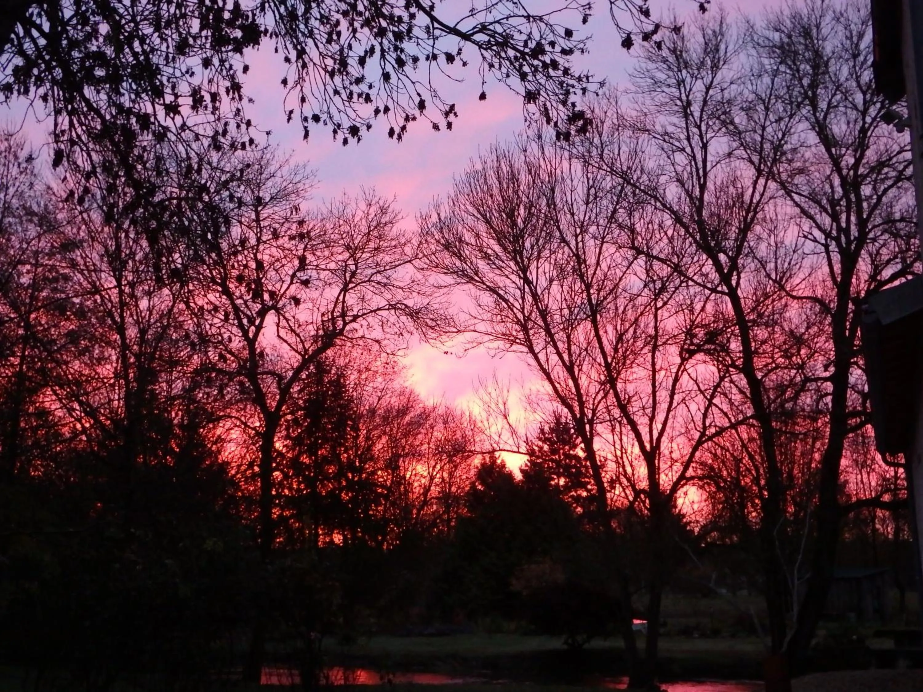 Sunset in Le p'tit nid de Gabriel