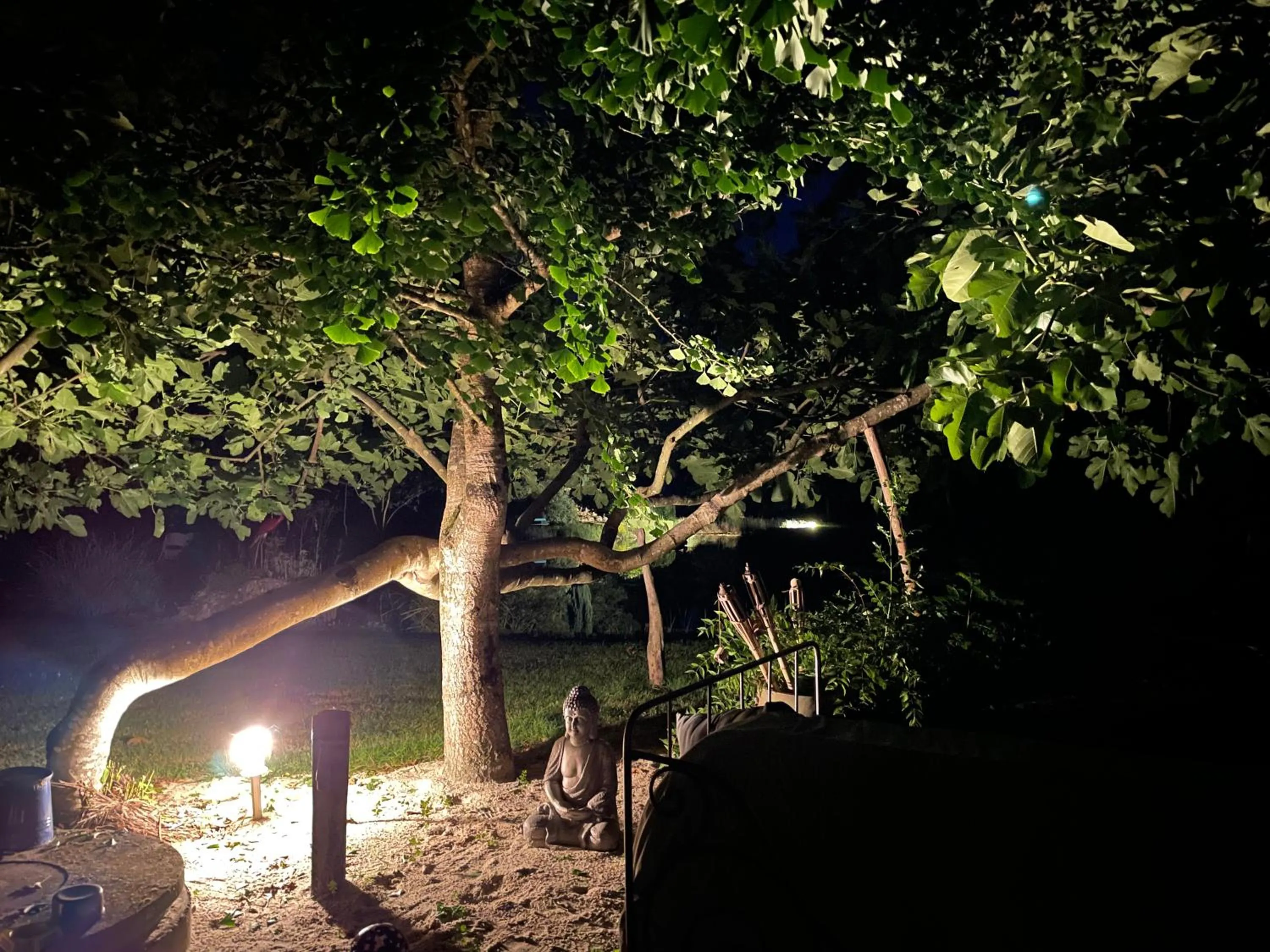 Night in Le p'tit nid de Gabriel