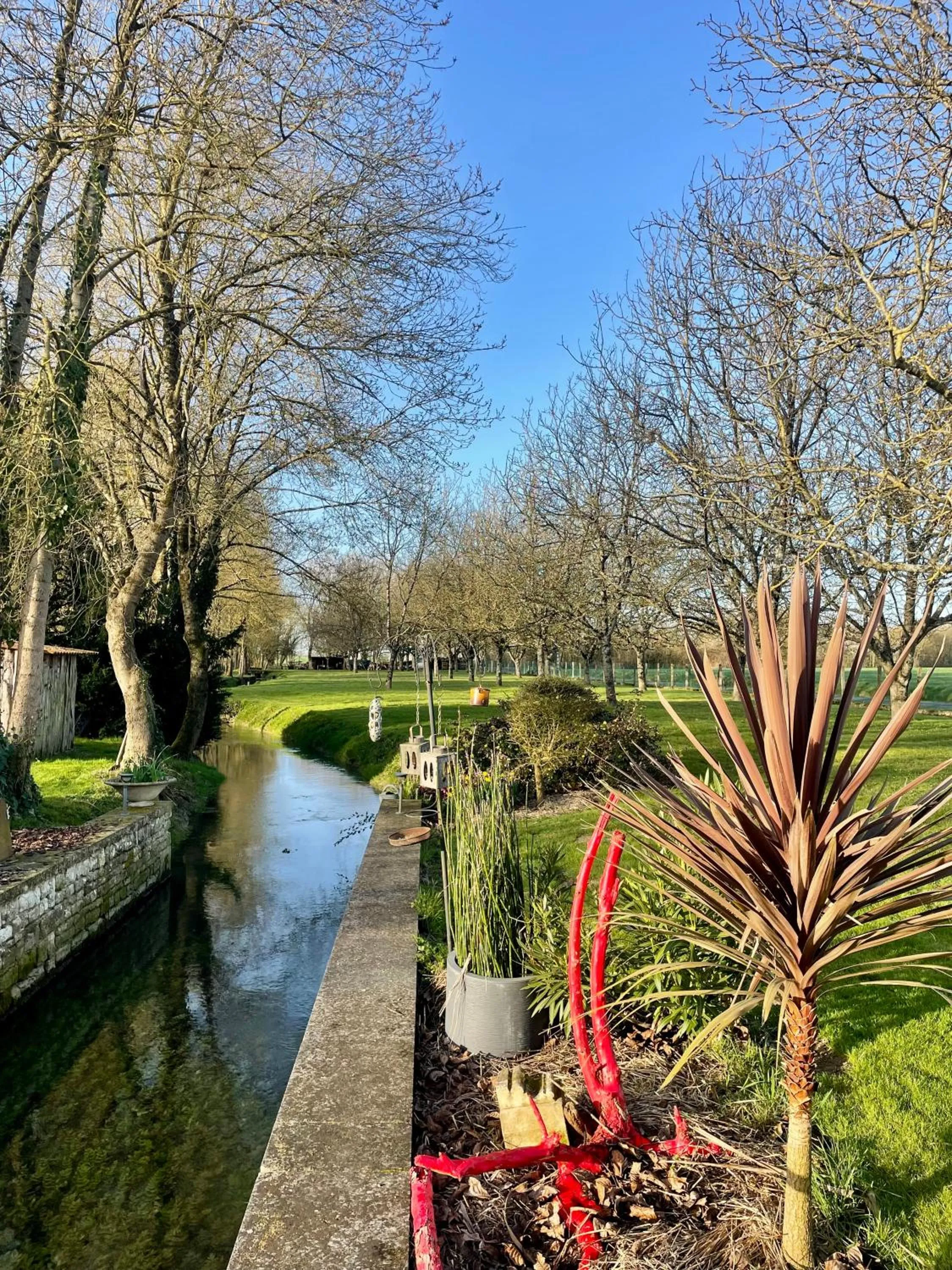 Le p'tit nid de Gabriel